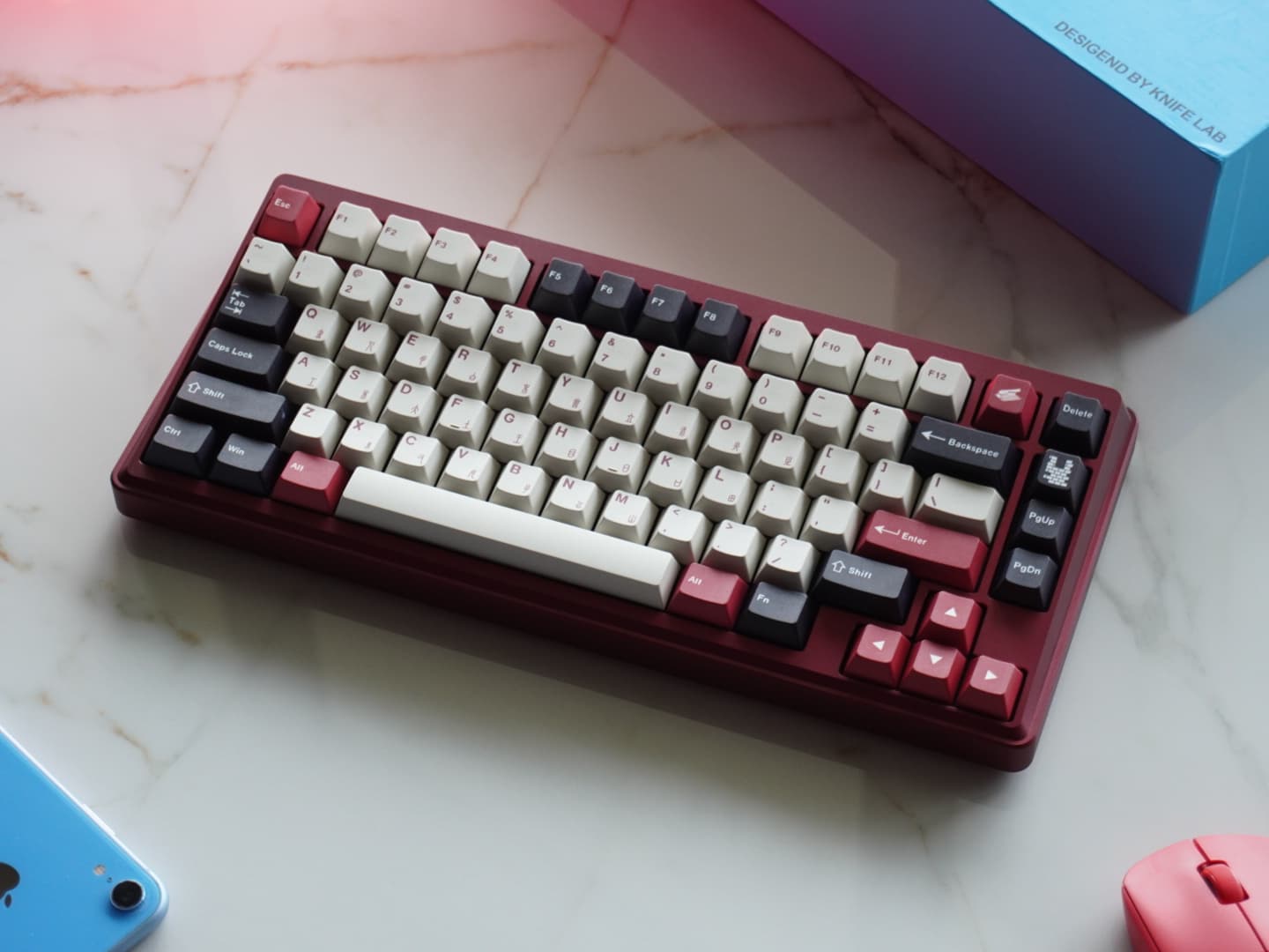 239$ Dolphins75 - 4th to 17th January 2023 image 10