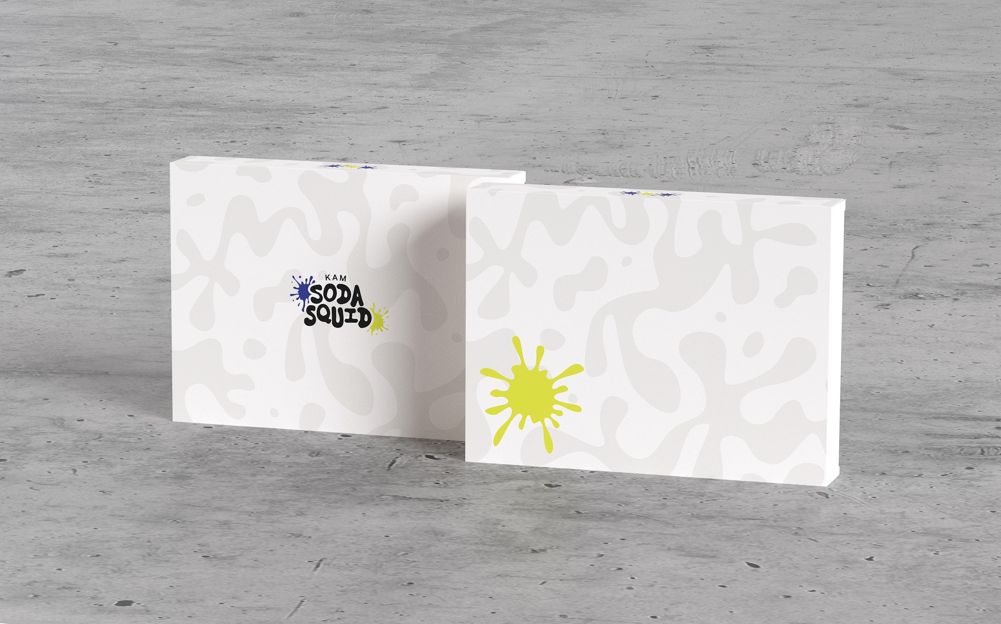 KAM Soda Squid - GB Feb 17 - Mar 17 image 26