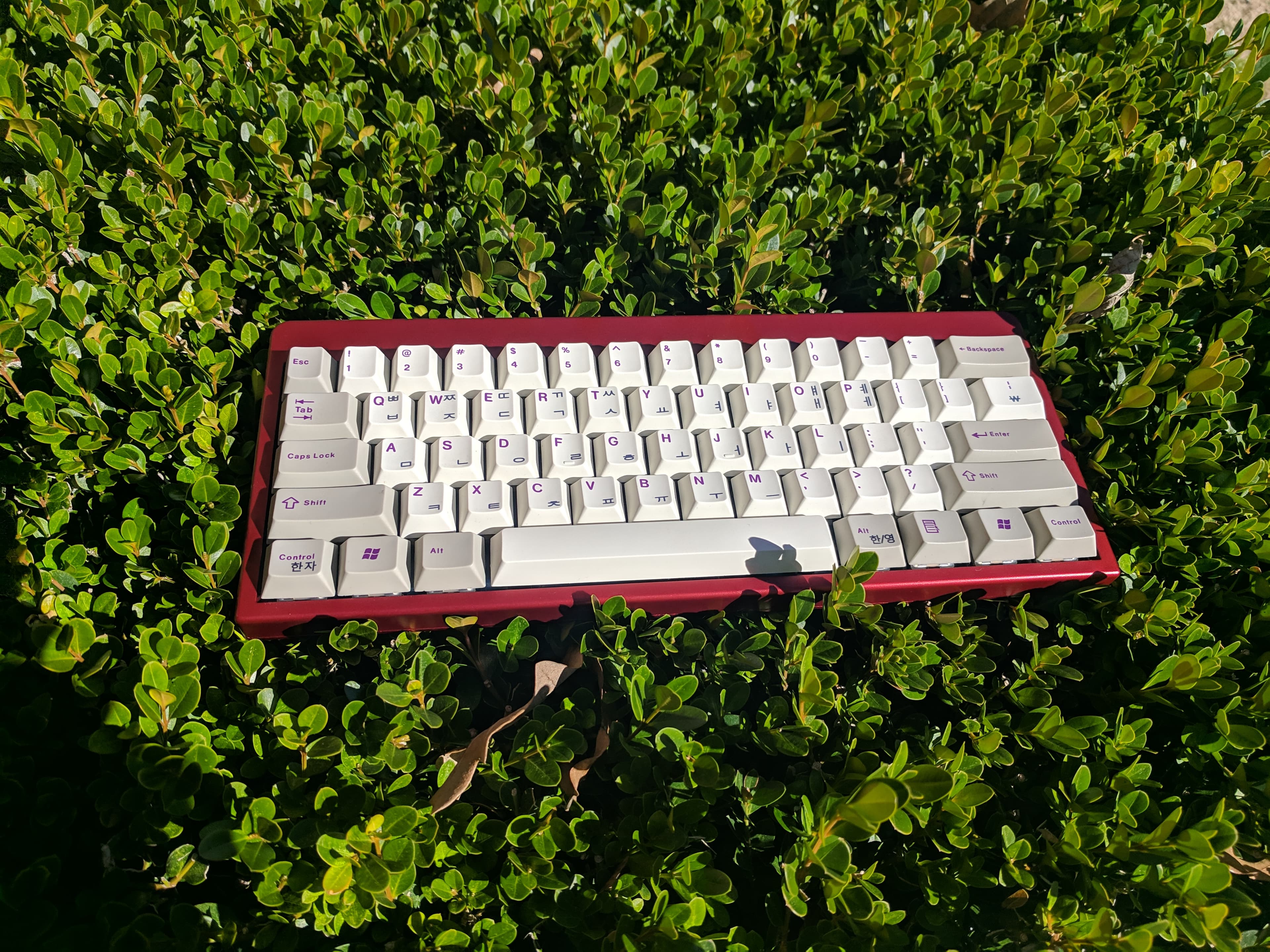 Aquaria V1 60% Jellyfish Keyboard GB (Sorting Shipping ) image 2