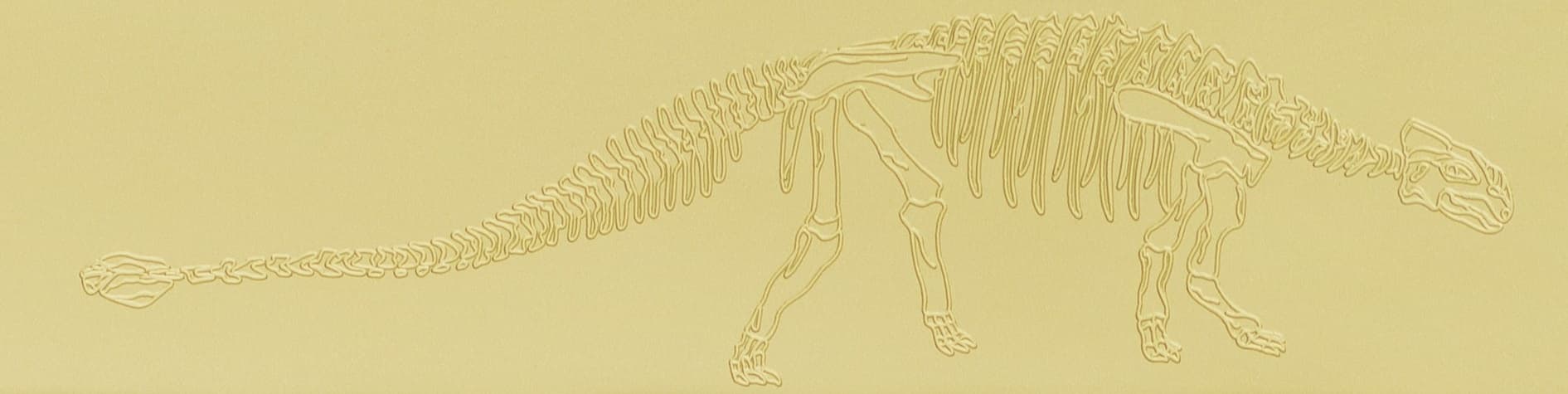 Fossil Full Size R2 + Southpaw - Made in USA image 3