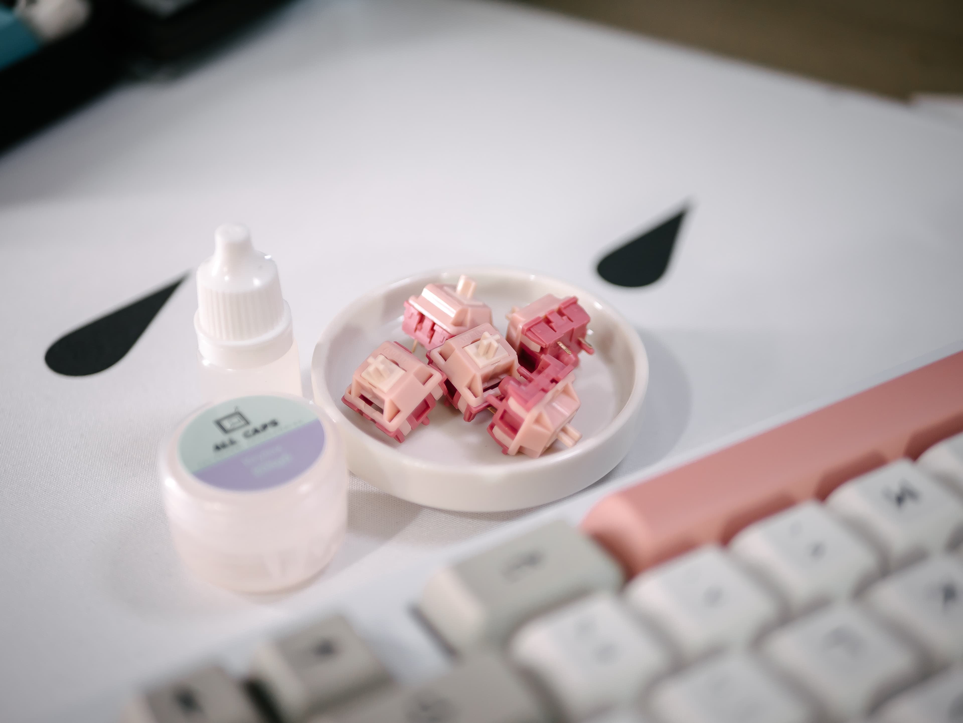 Blush Linear Switch | Shipping to vendors image 5