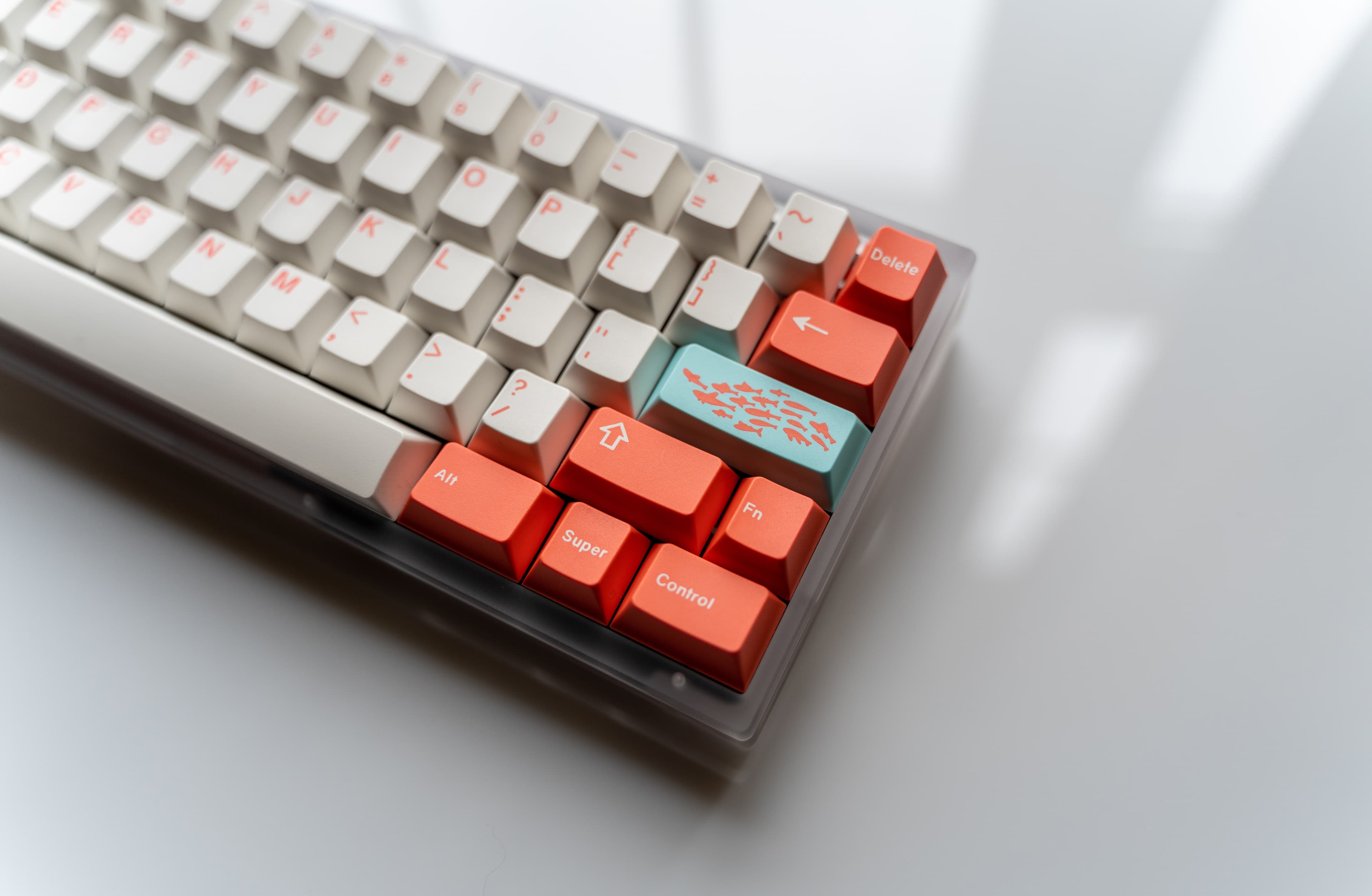 GMK Coral R2 - benefiting the Coral Reef Alliance (GB: 6/22 - 7/15) image 18