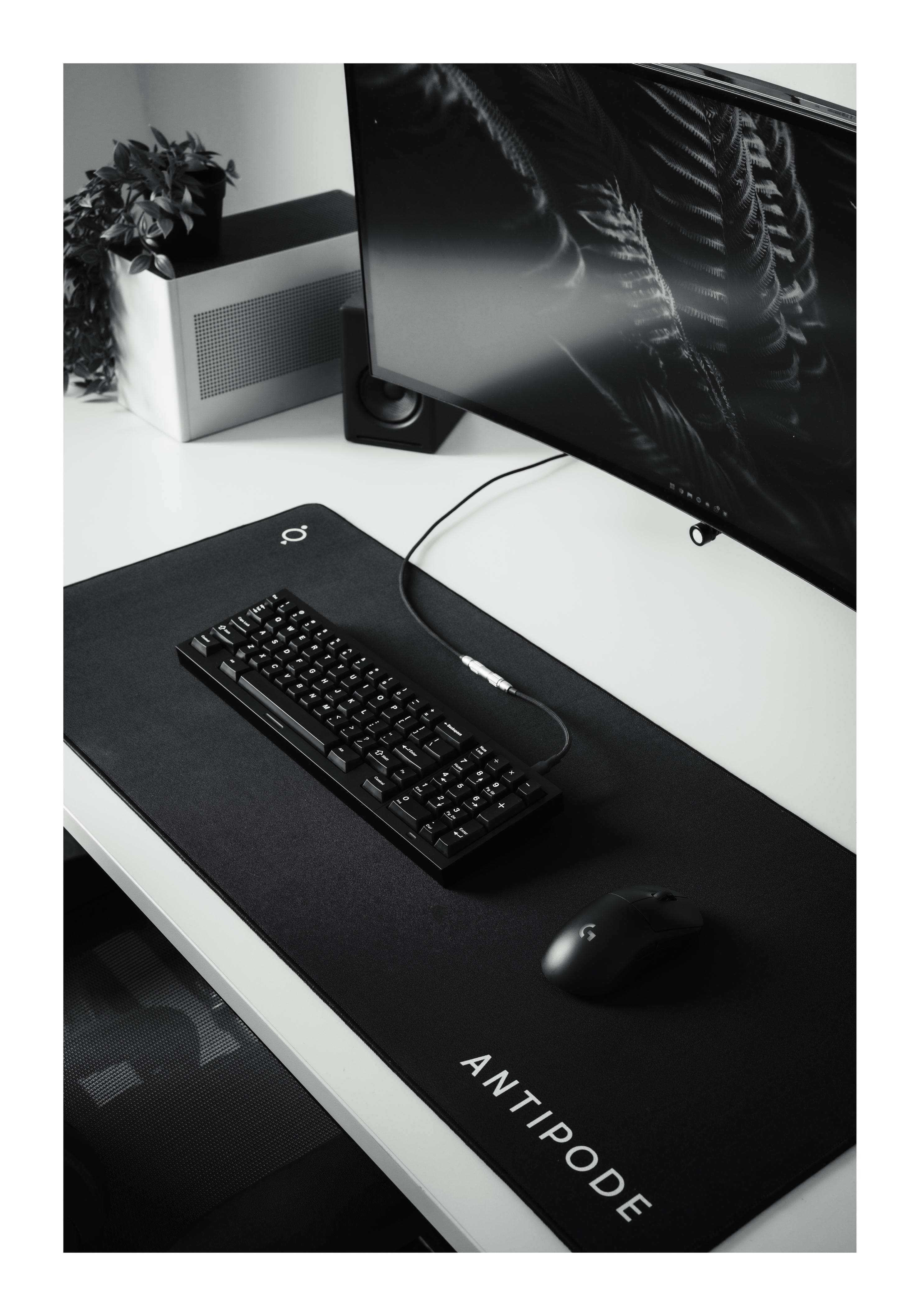 Logos Mk.1/WRK image 6