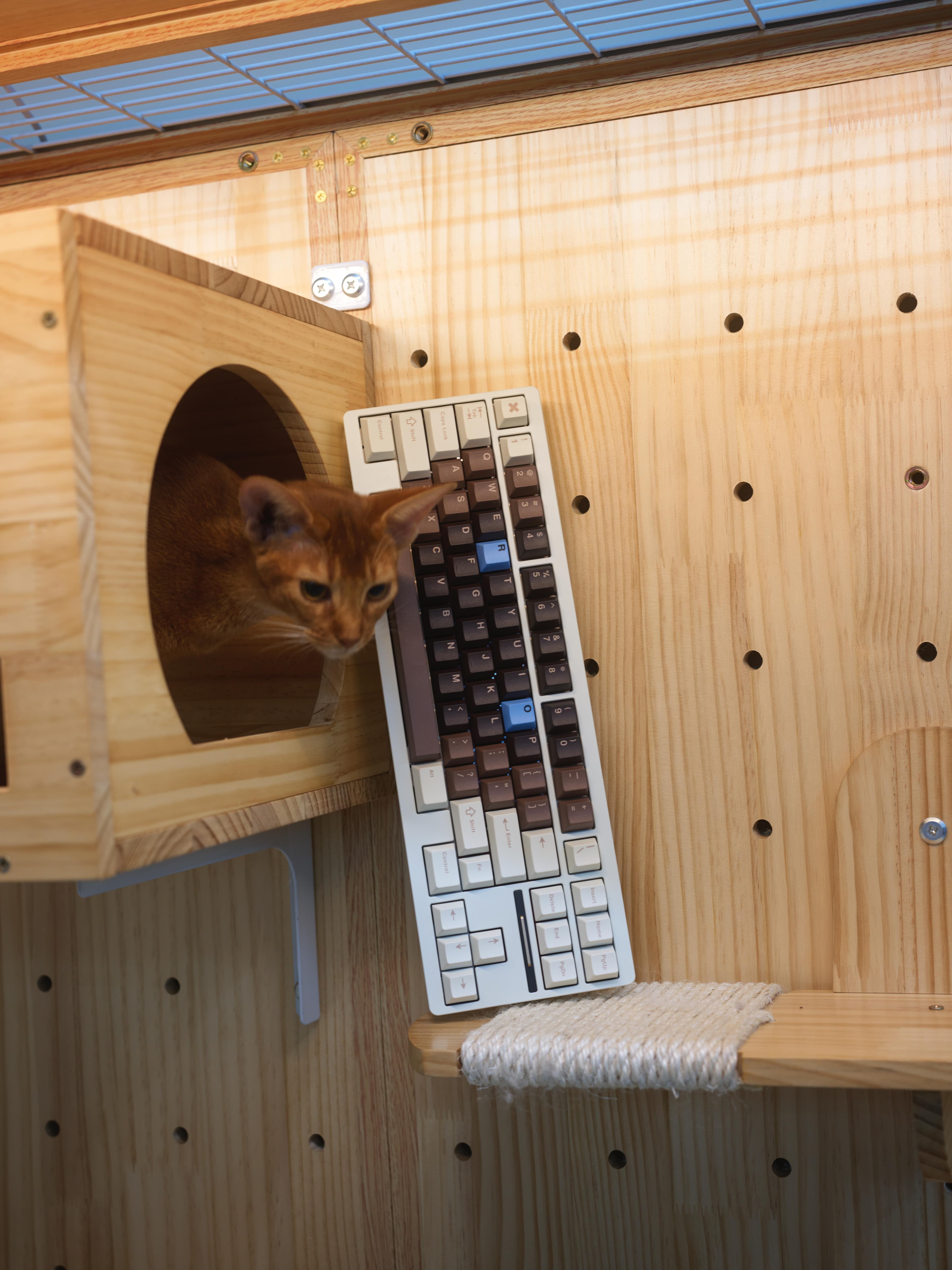 TUTKEYS Black Sugar Bobo Keycaps image 27