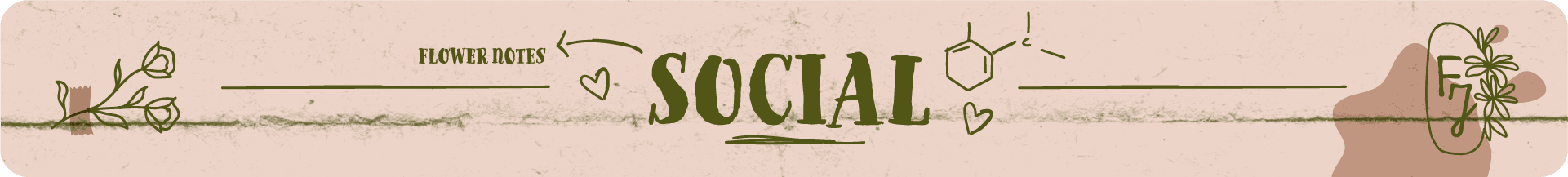 DCD Flower Journal - A Botanical Classic image 17