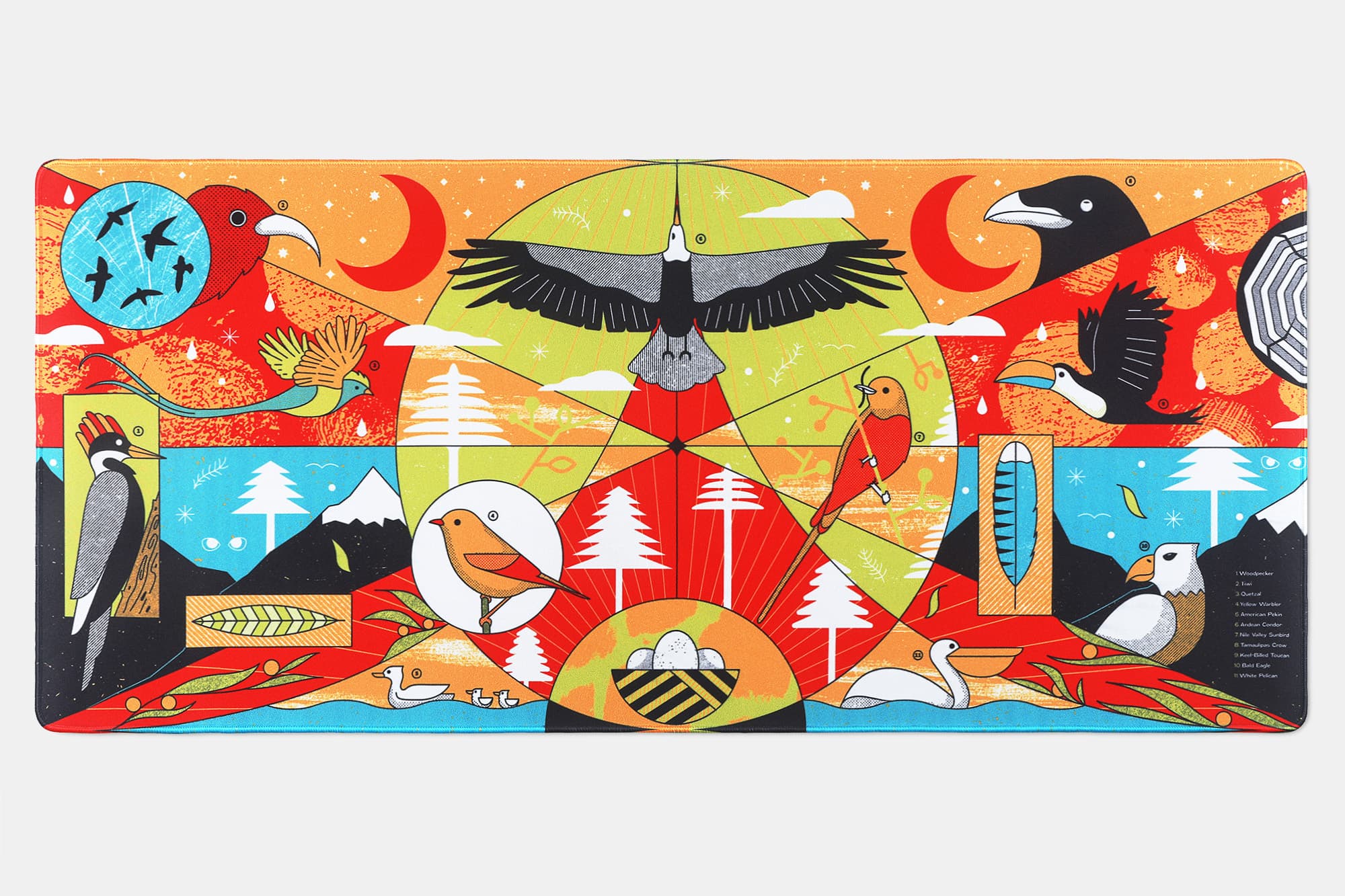 [Preorder]DCD Bird Jungle - Pre order Closed image 9