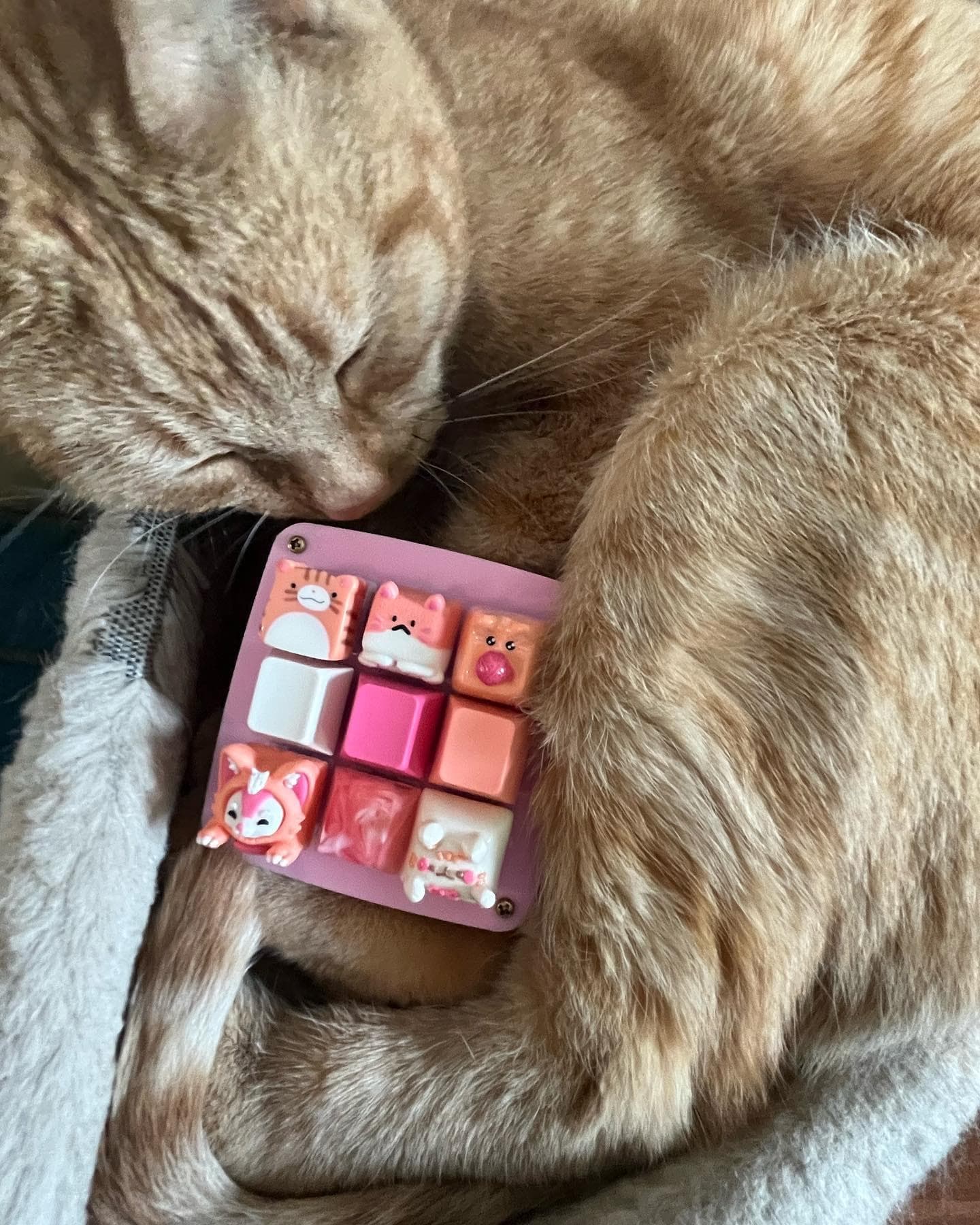 GMK Orange Boi | shipped to vendors + customers image 51