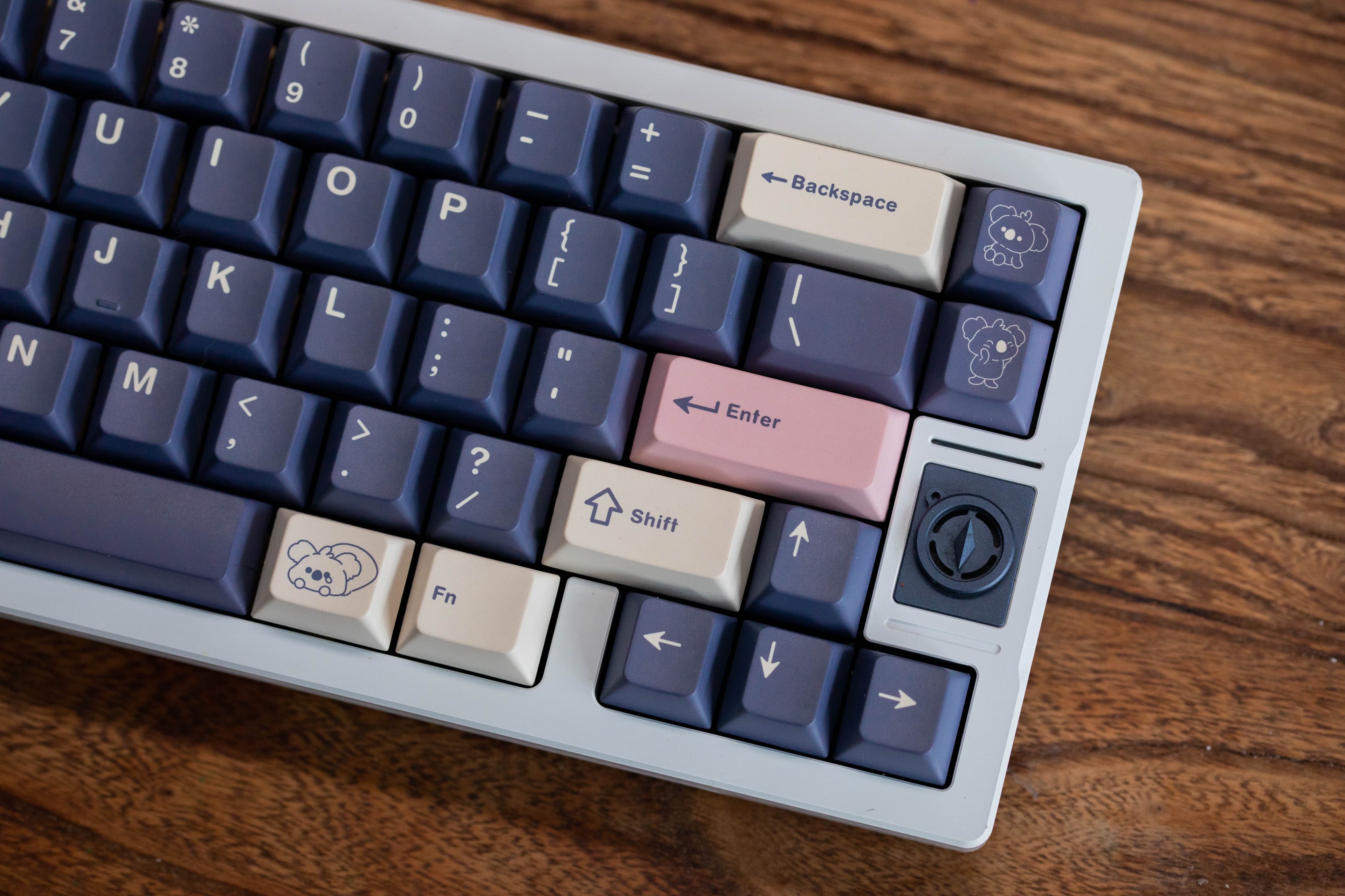 IDK - Koala image 13