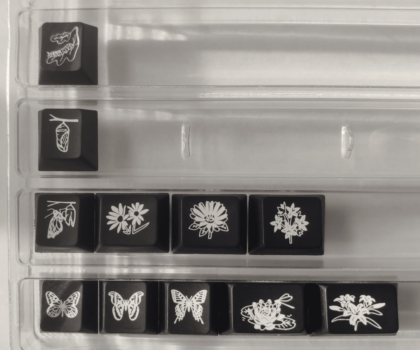 MW Pavilion | GB Cancelled, see 7/24/23 update for details image 11