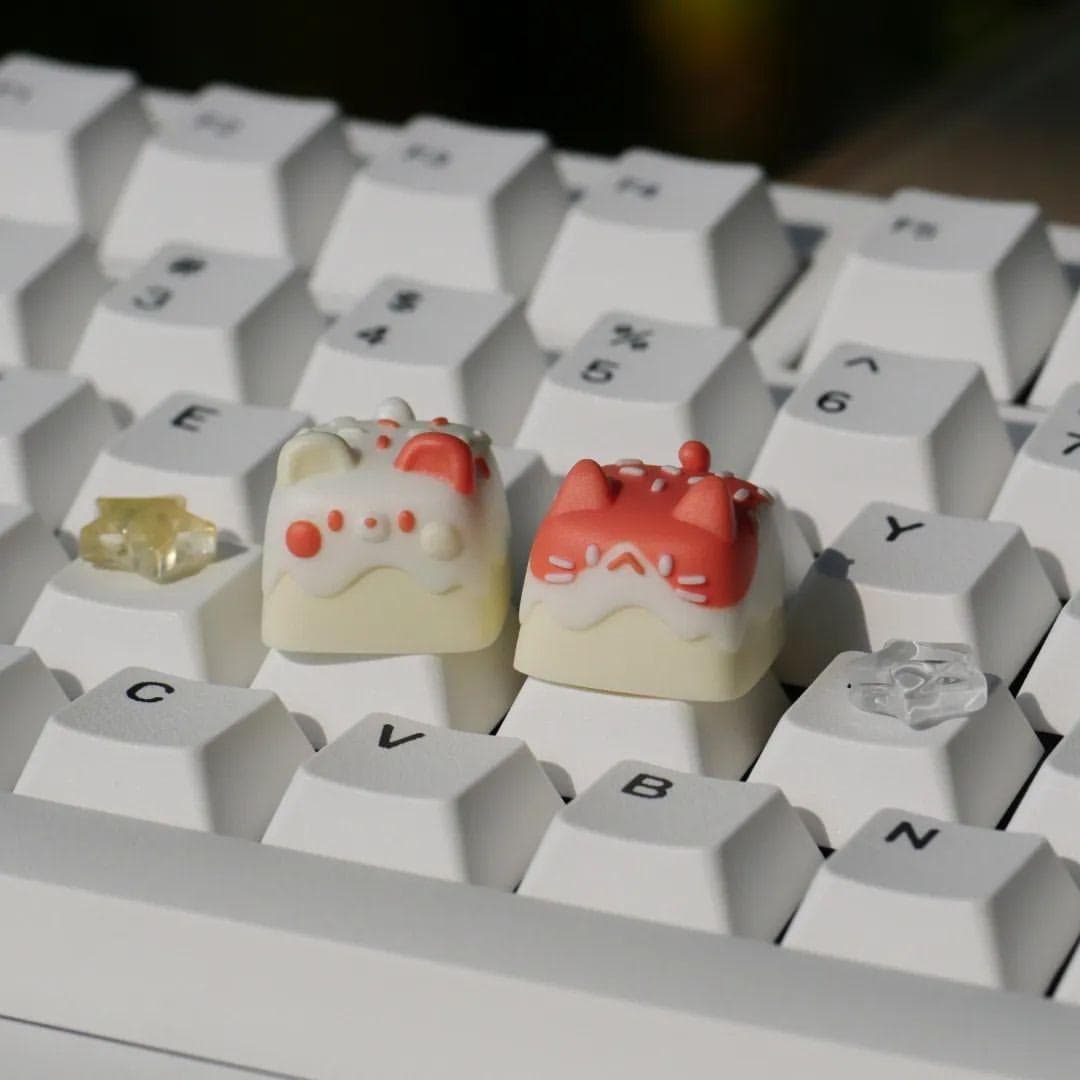 DSA Mayora マヨラー | GB LIVE NOW image 79