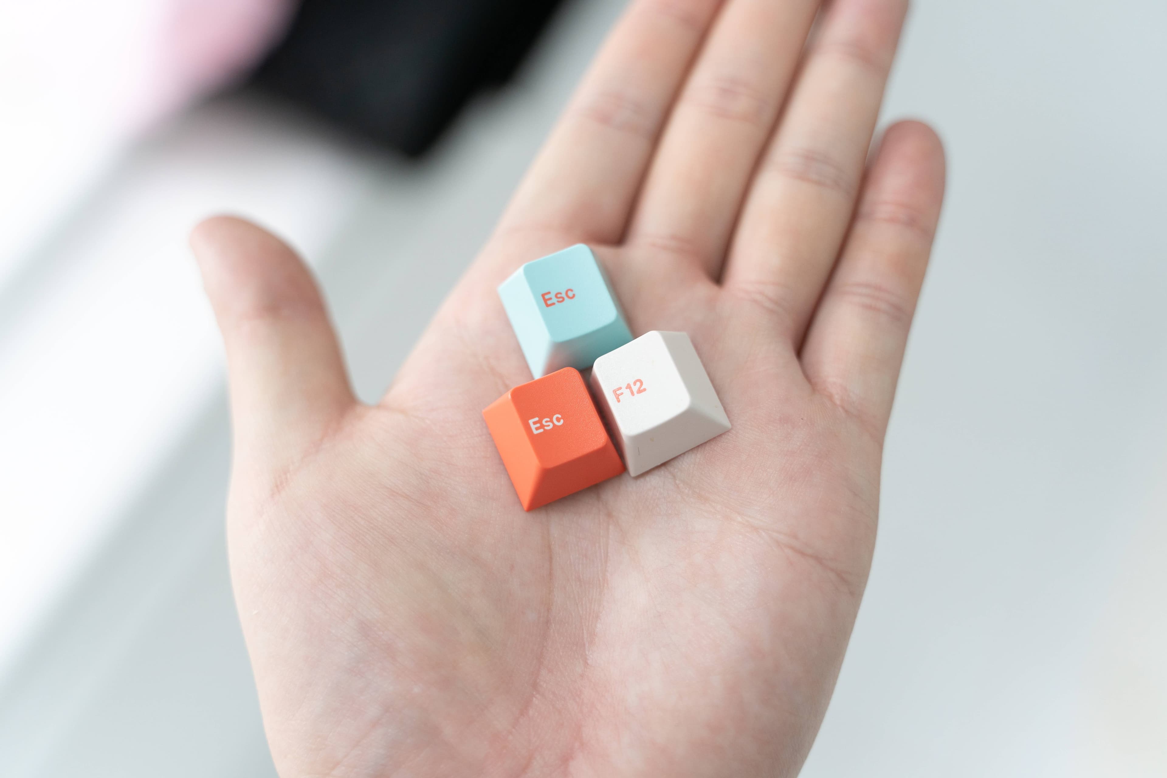 GMK Coral R2 - benefiting the Coral Reef Alliance (GB: 6/22 - 7/15) image 3