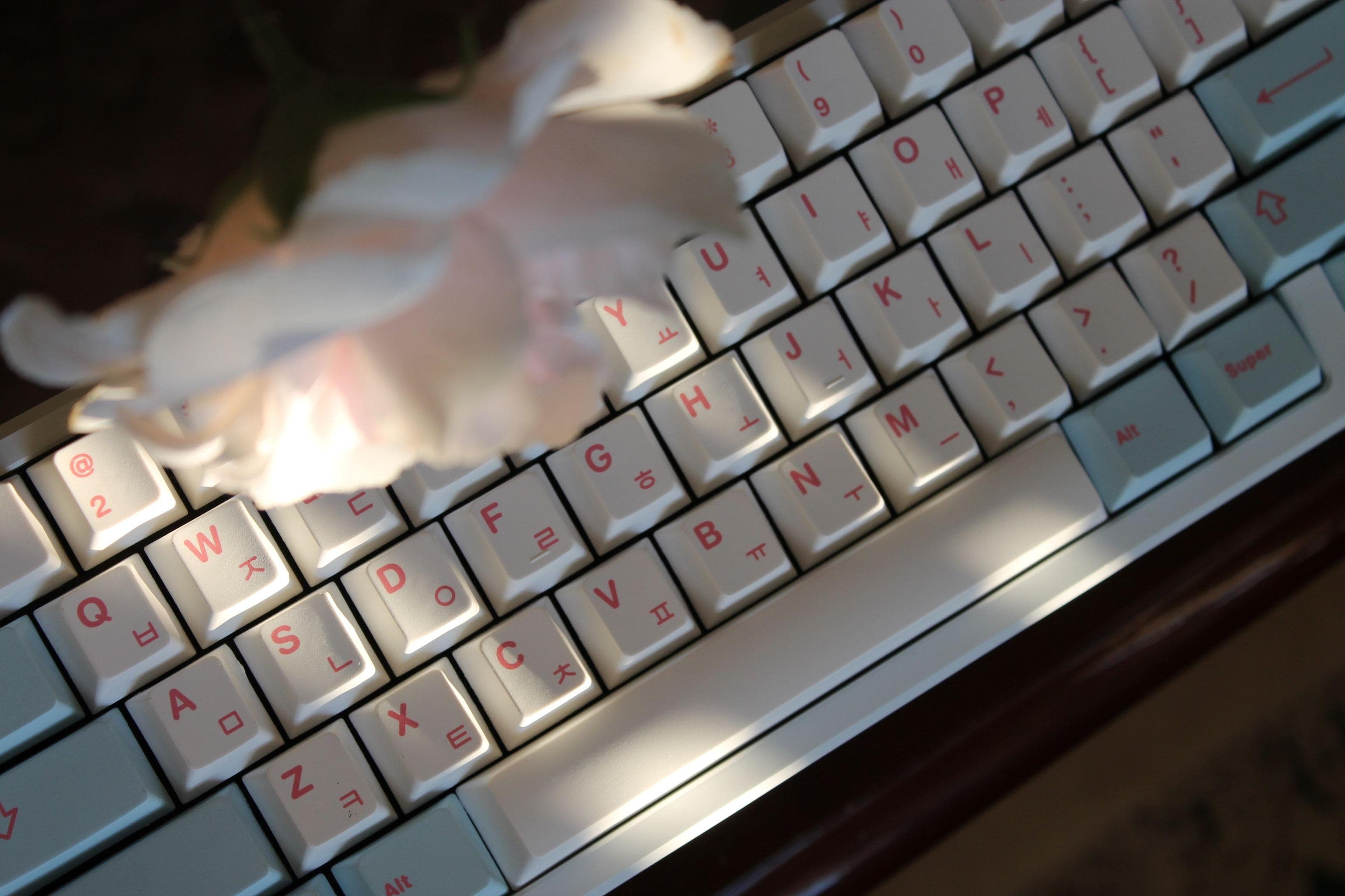 Milkyway Velvet Currently Live :] image 27