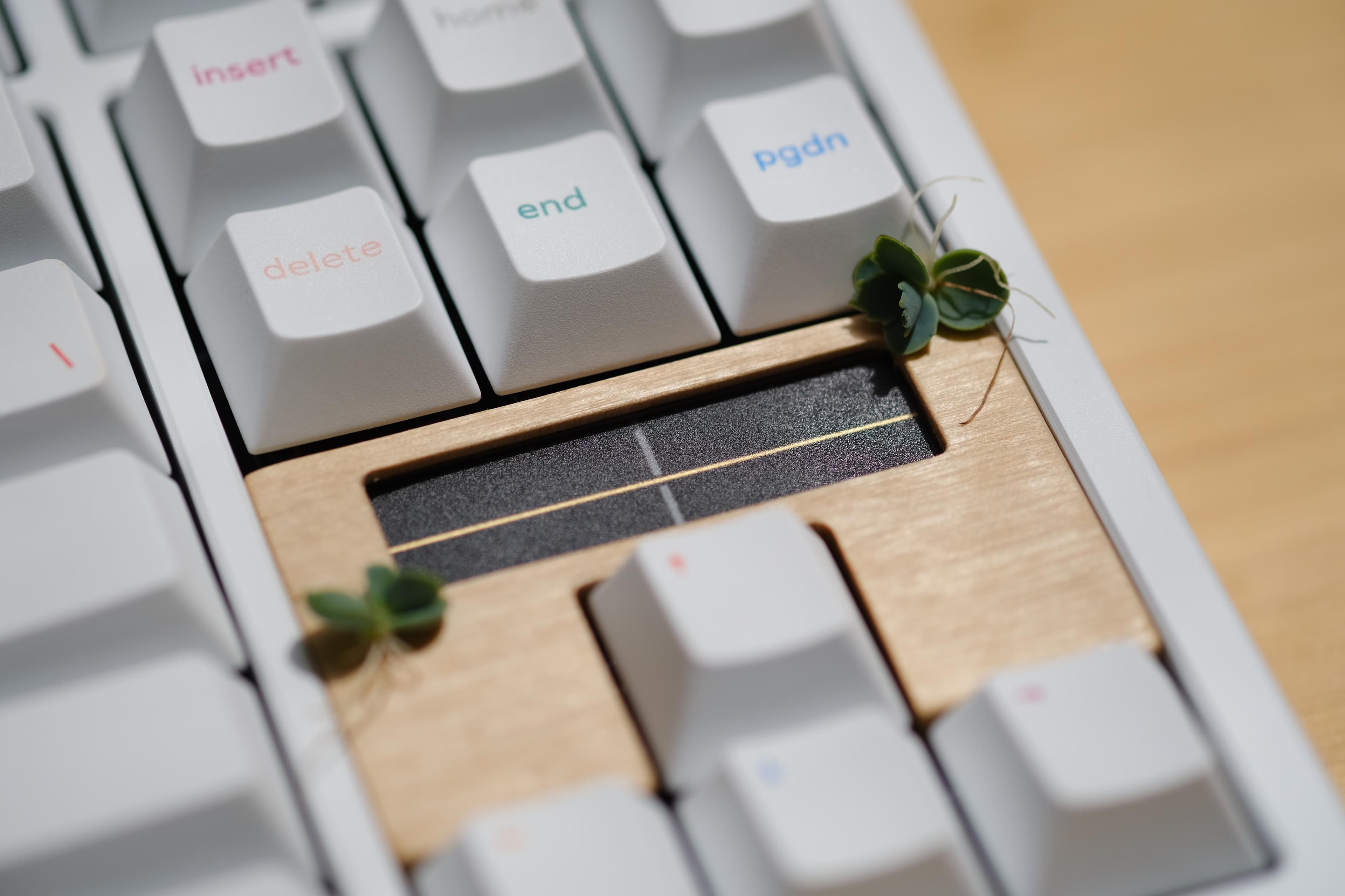 Soleil - A Beautiful Solar Powered Wireless TKL - GB October 10th!