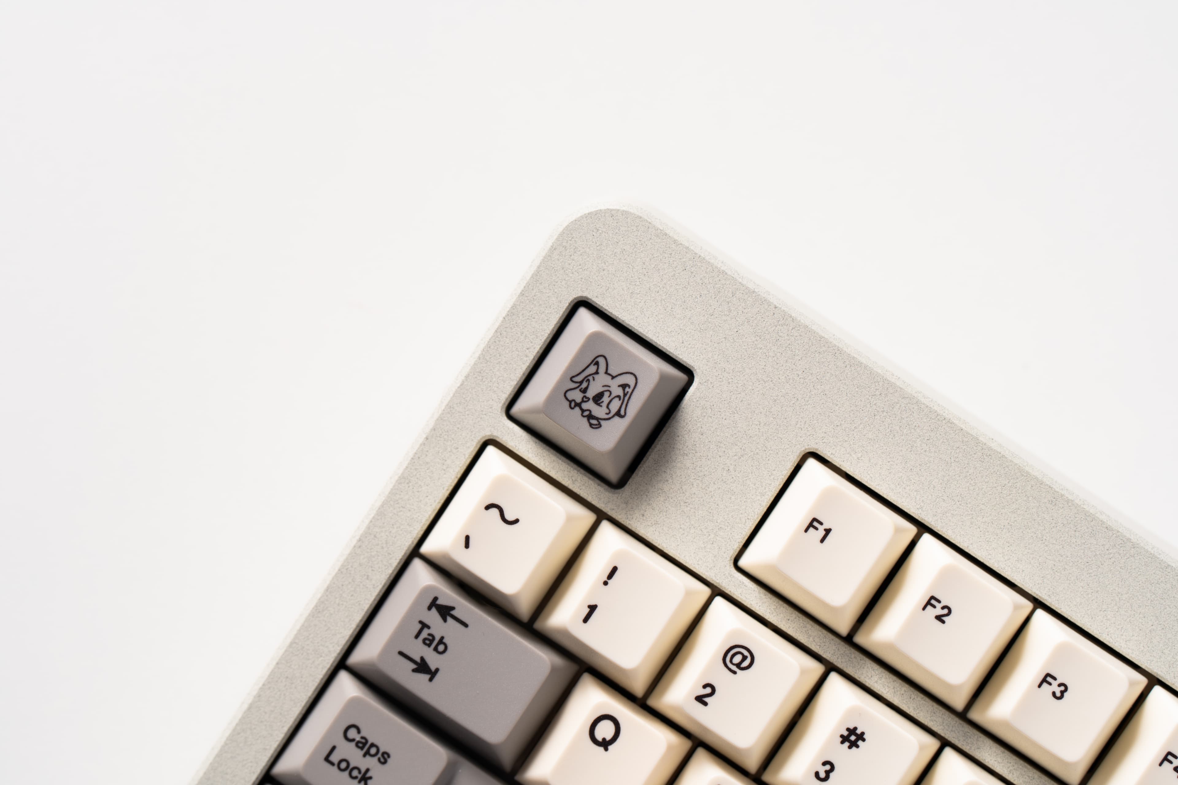 GoMaster-Fossil | Imprint of Time image 18