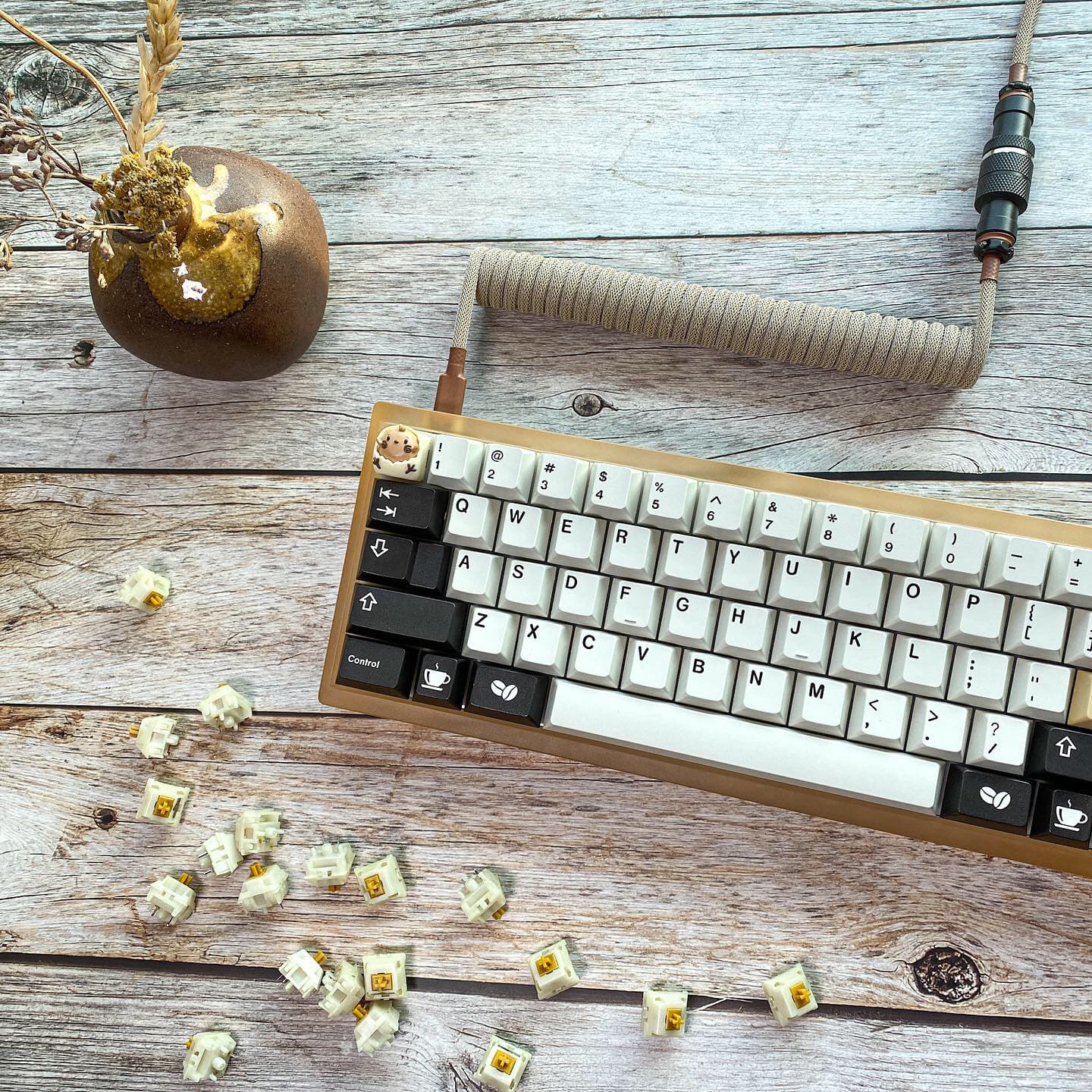 CAKE60_R1 🍰 COMPLETE 🍰 image 23