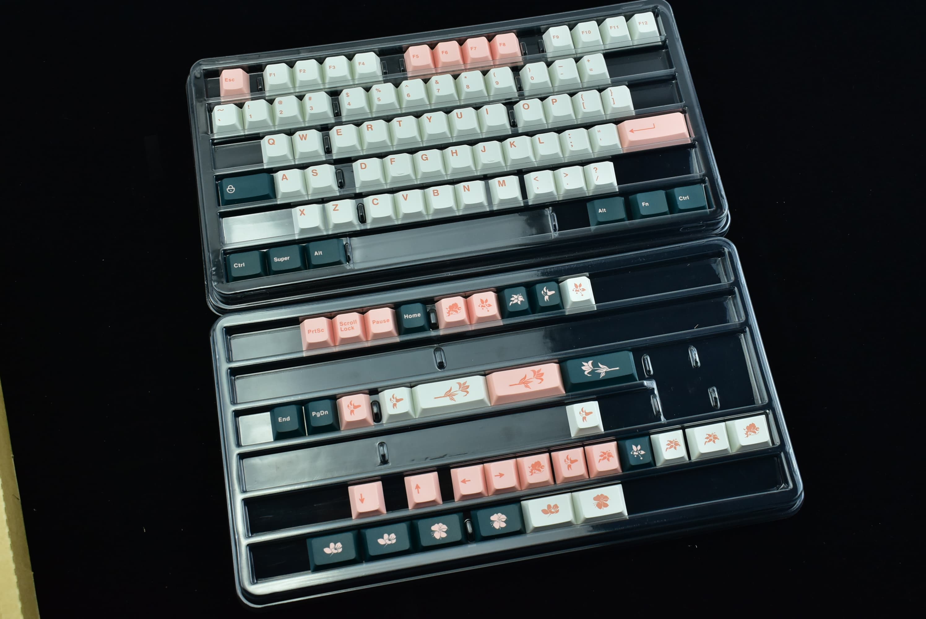 [Pre-order] ePBT Flower | Last Week image 33