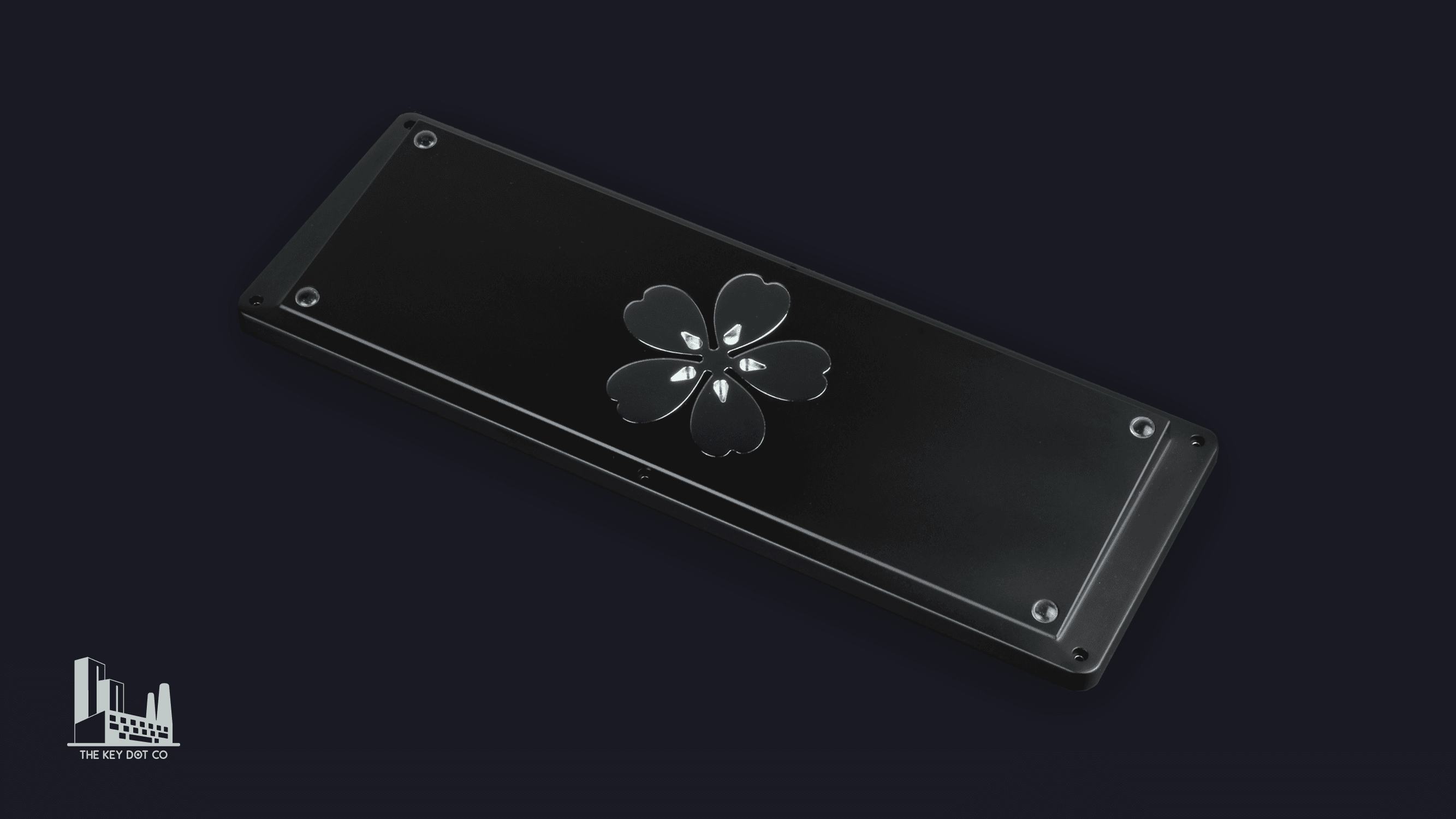 M0llY is Here image 10