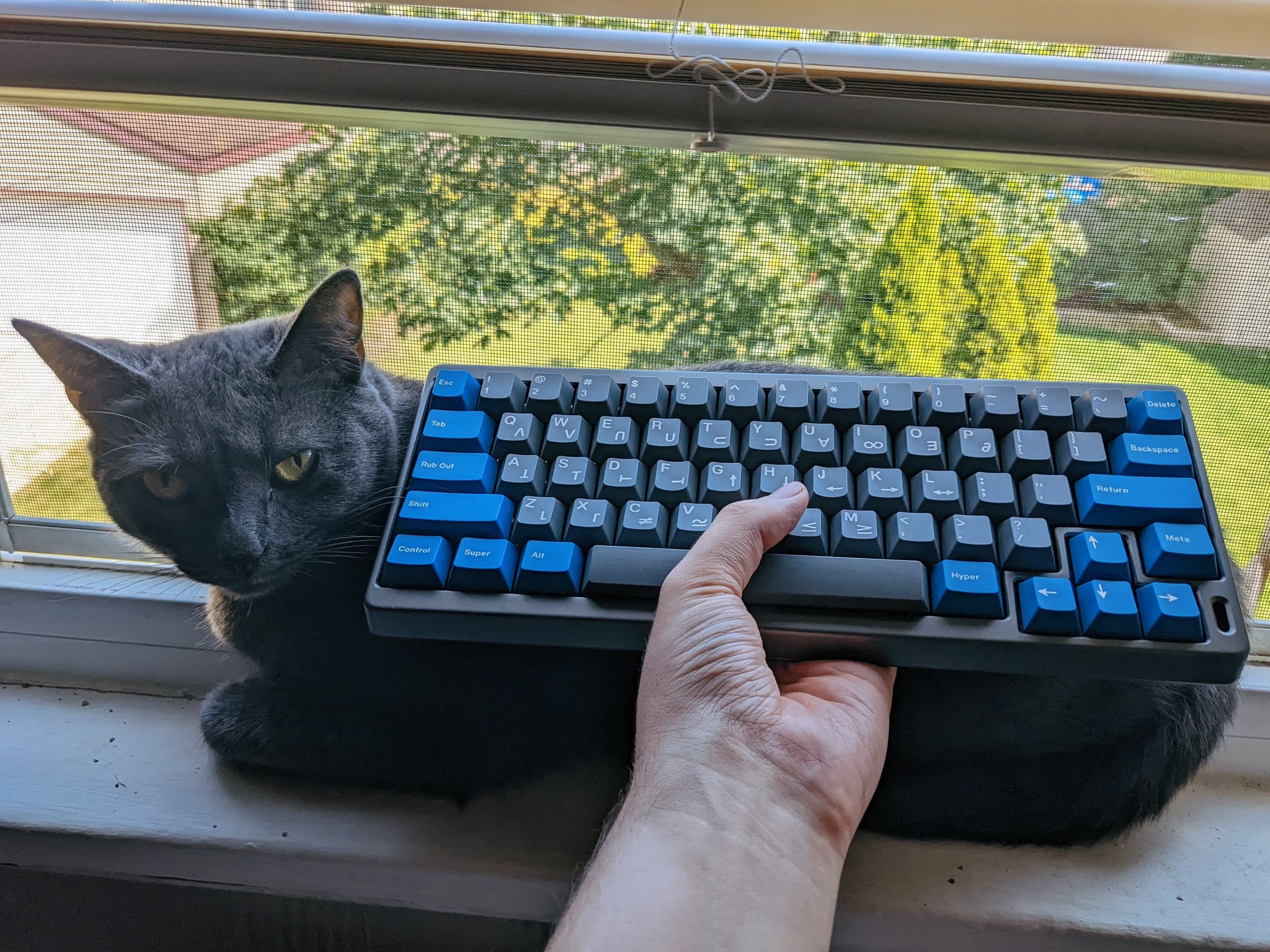 PAL by Banana Stand Works image 35