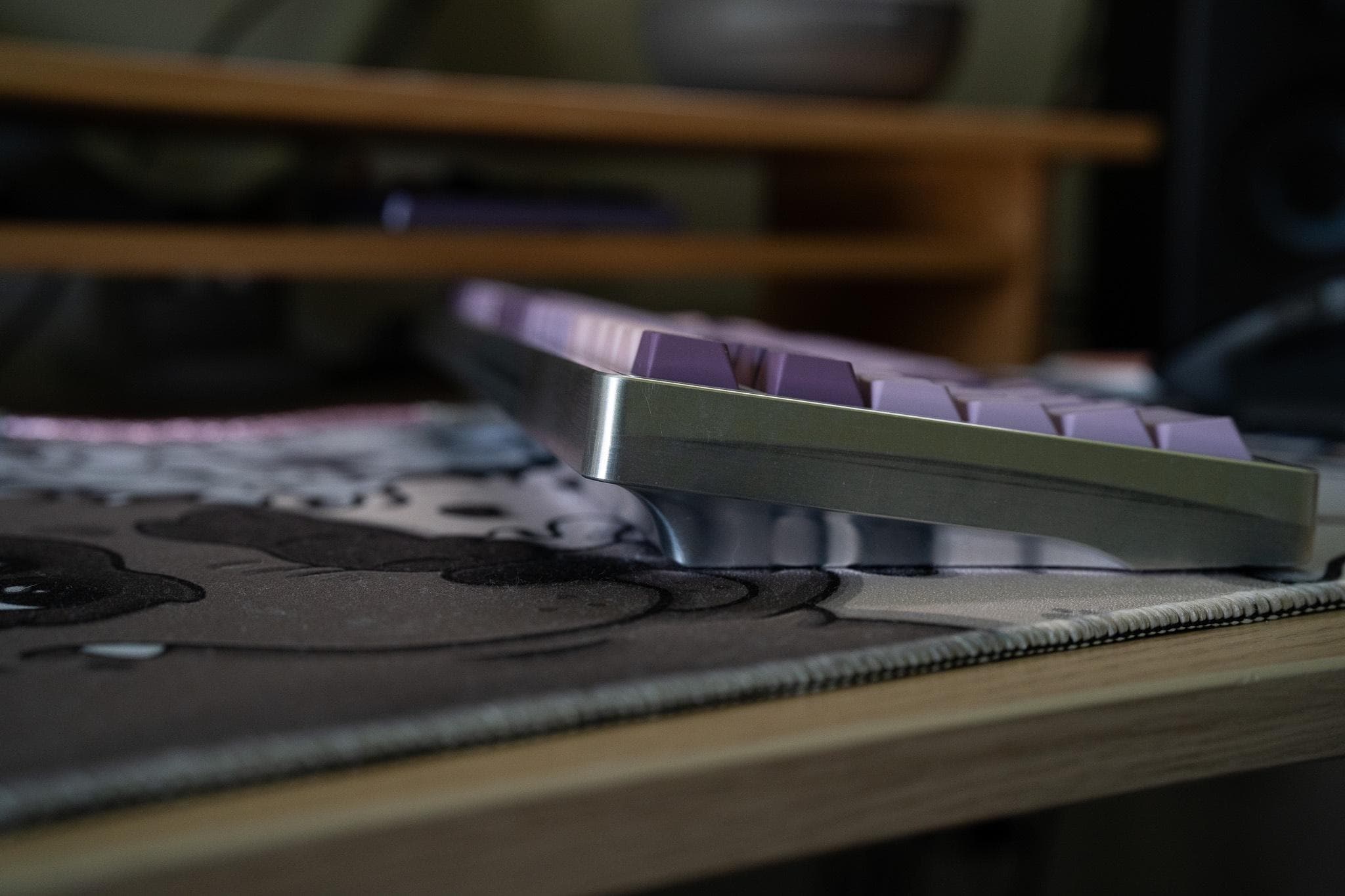 Pangea Full Size image 19