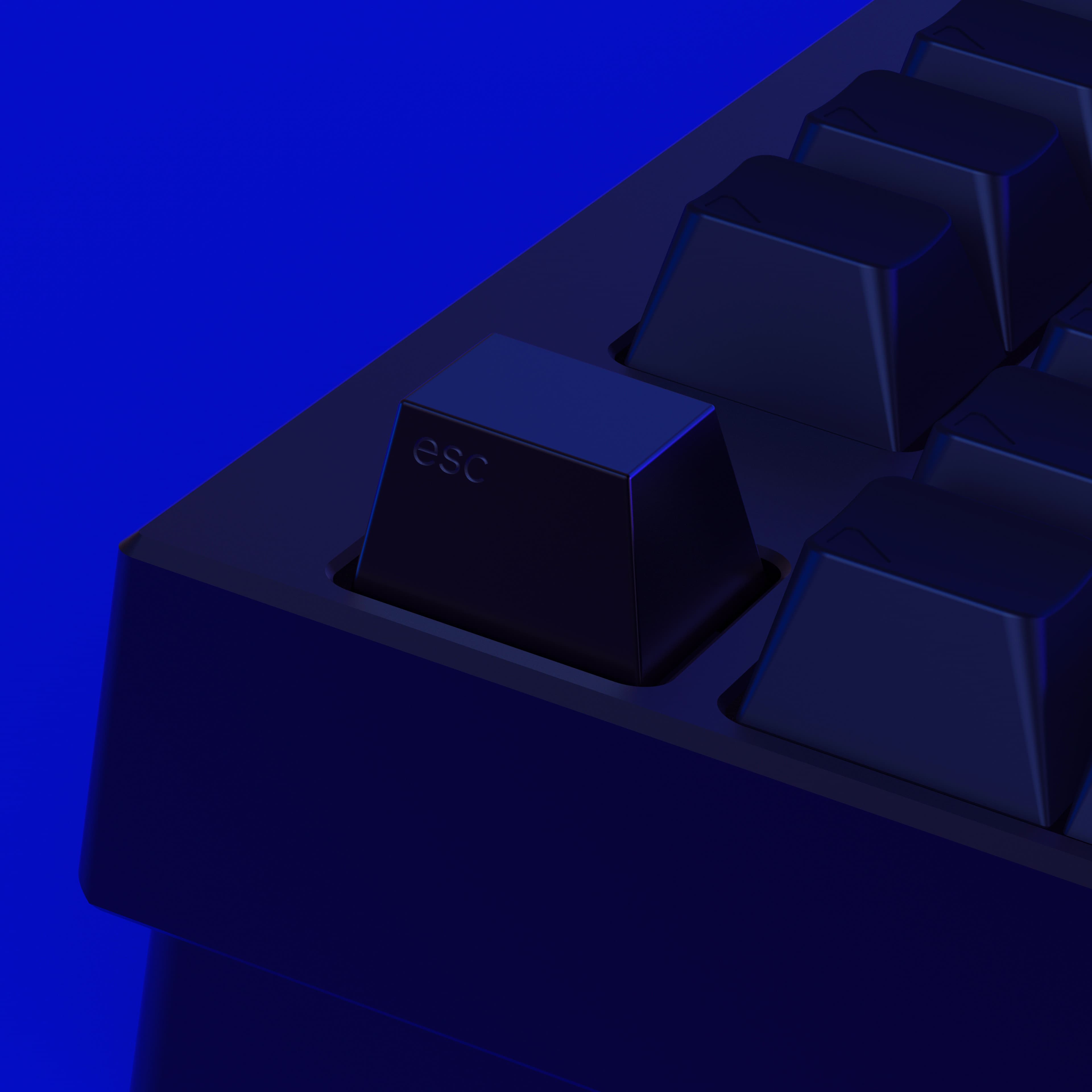 Series 00 | 09/17/2021: Shipping to all 4 vendors! image 44