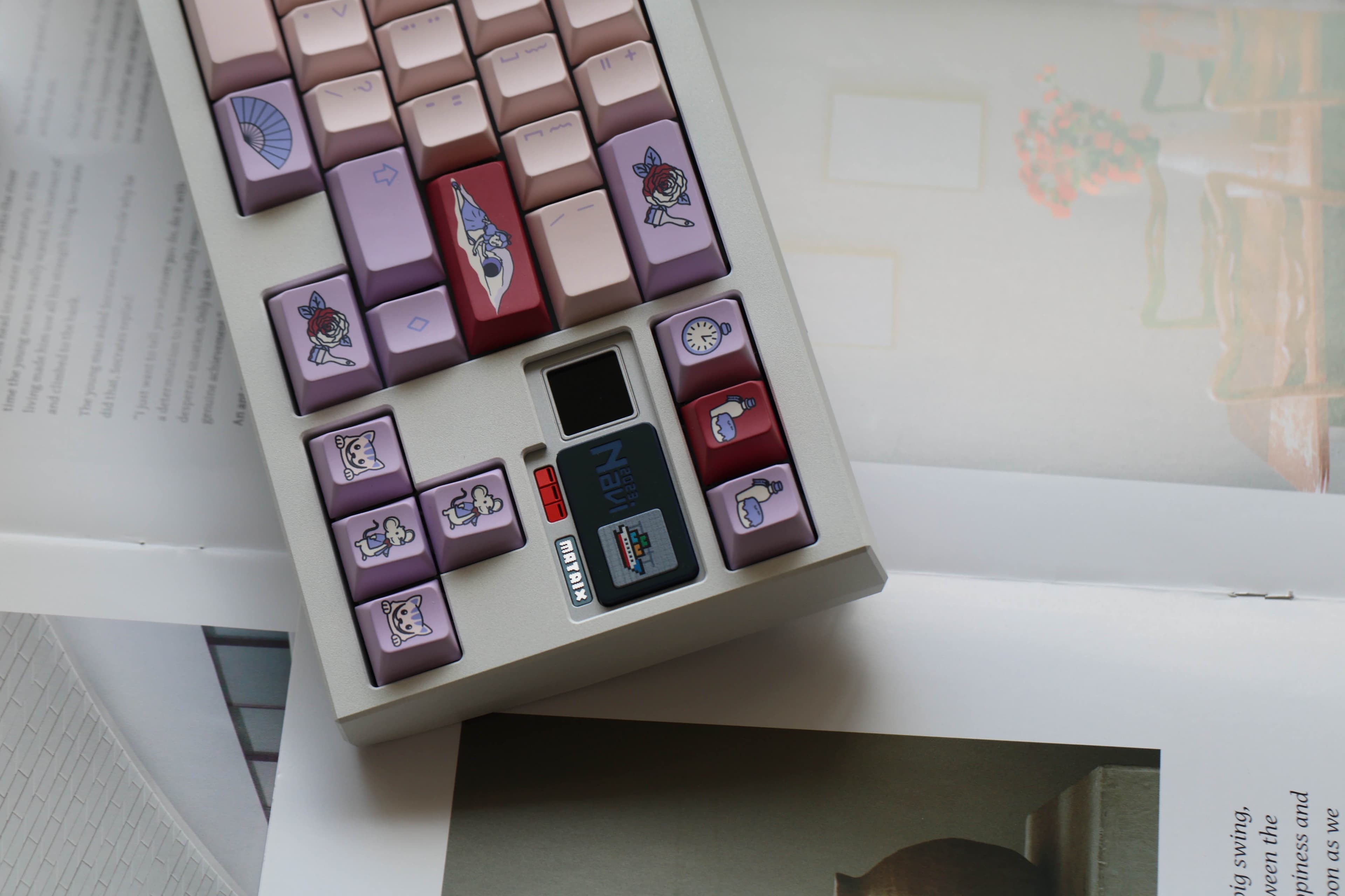 MW Wonderland image 6