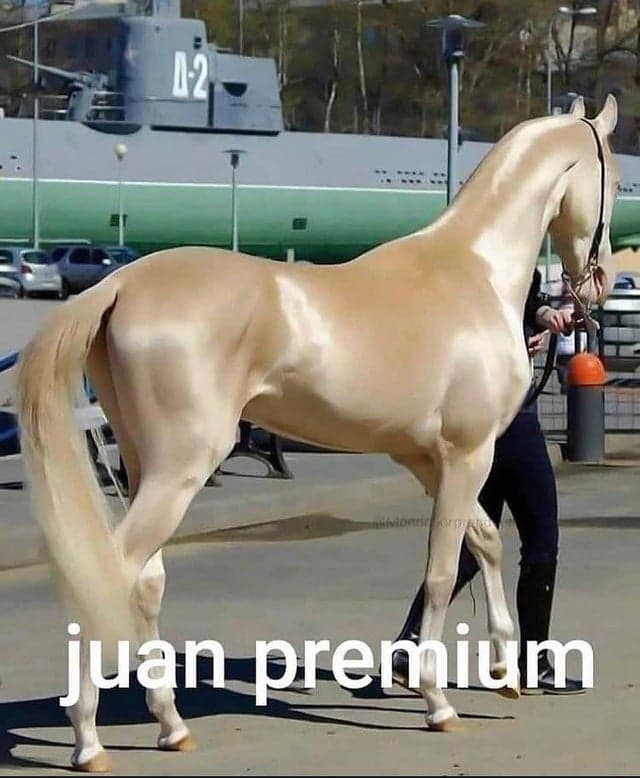 Horsey | Mar. 13 — Final prototype image 25