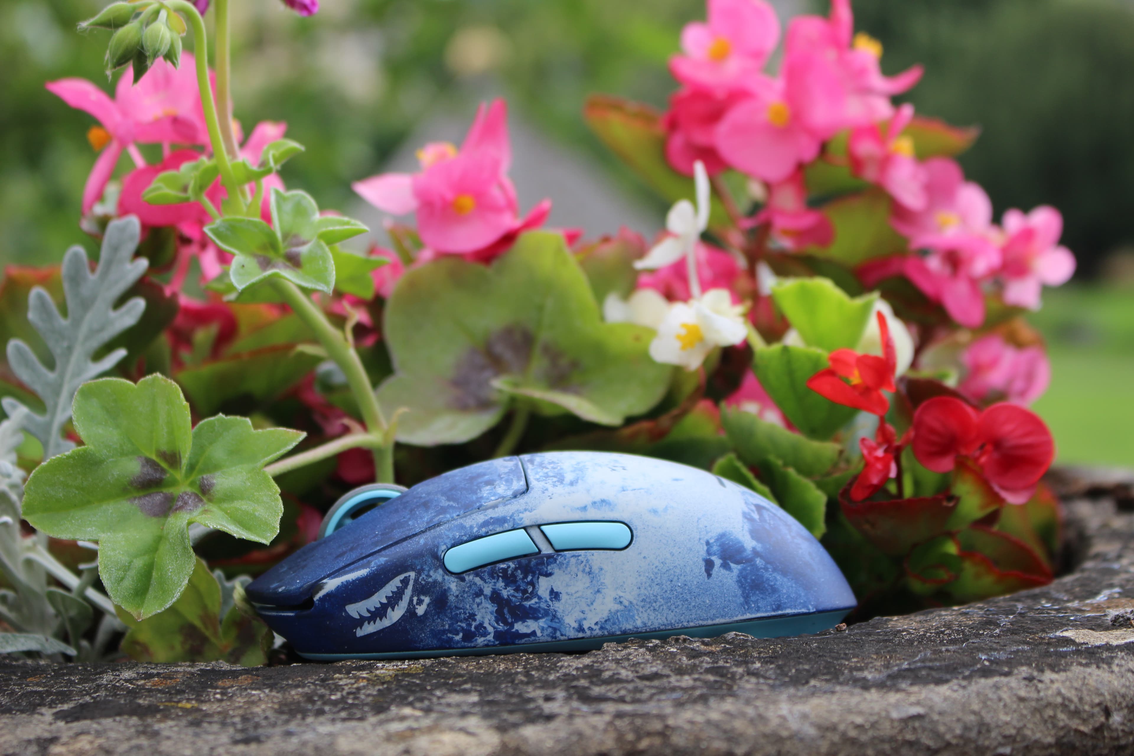 GMK Pacific | All Colors Approved image 27