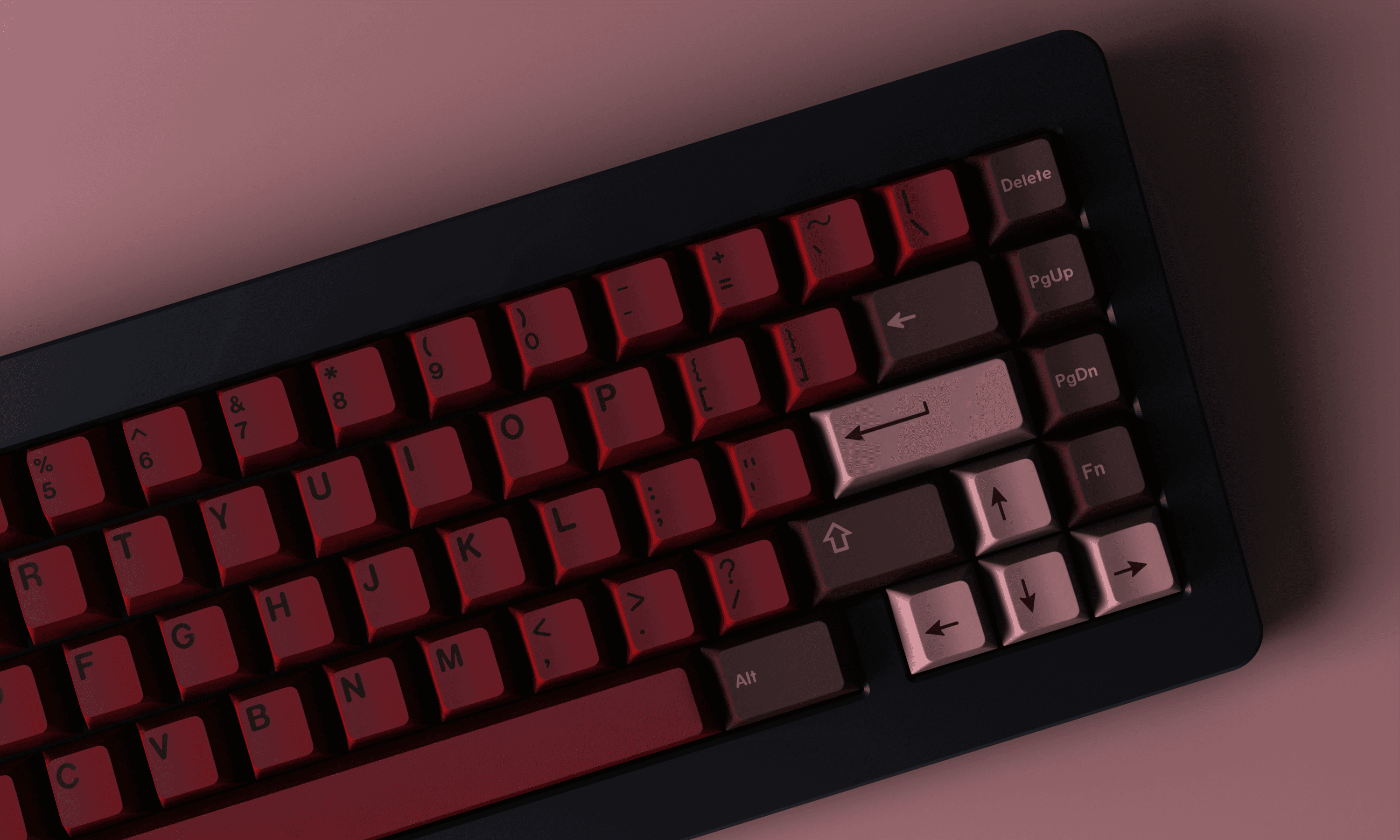PBT Cabernet | LIVE NOW image 8
