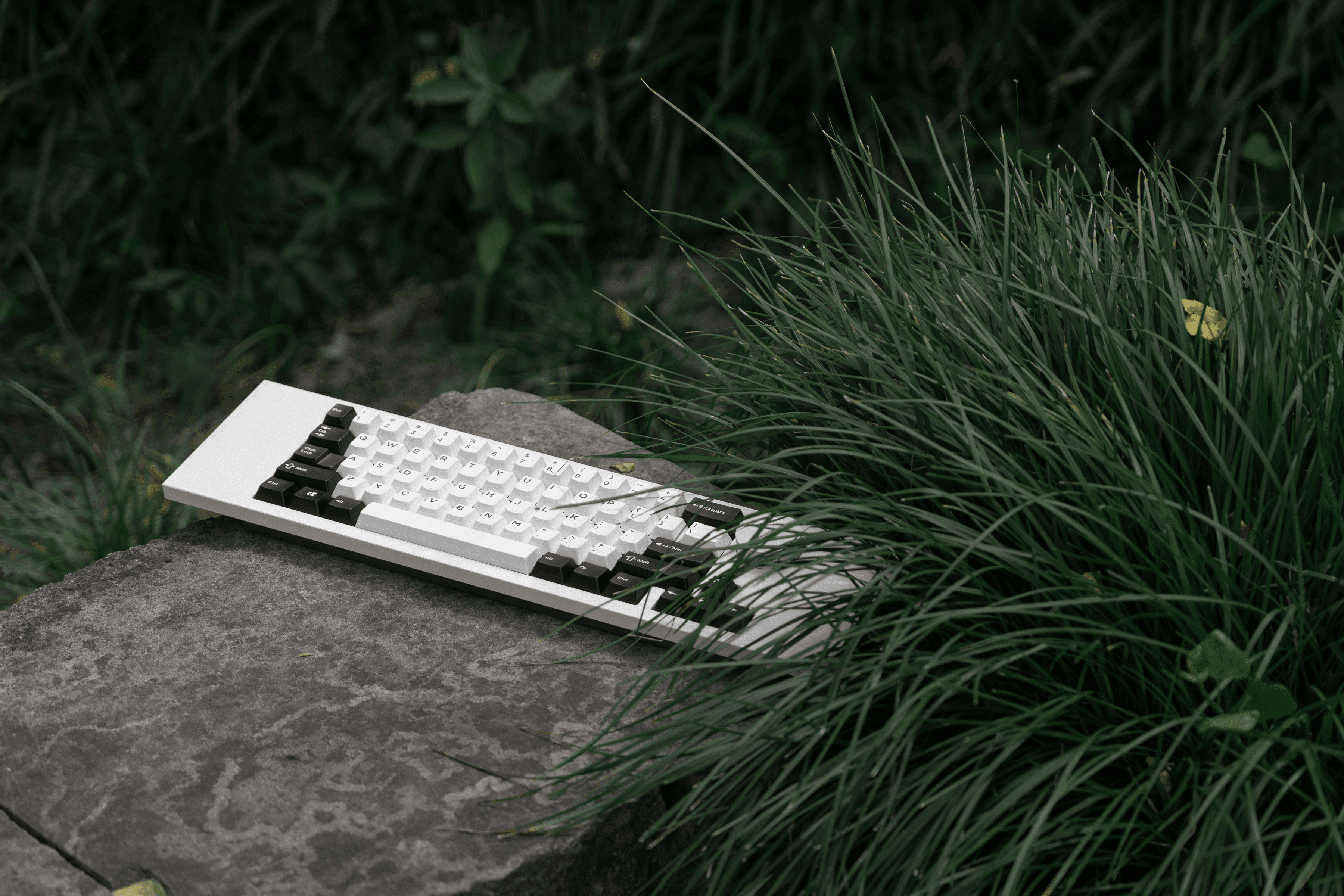 Ultra-Wide，Ultra-Minimal，big-knob: Aquila Keyboard image 8