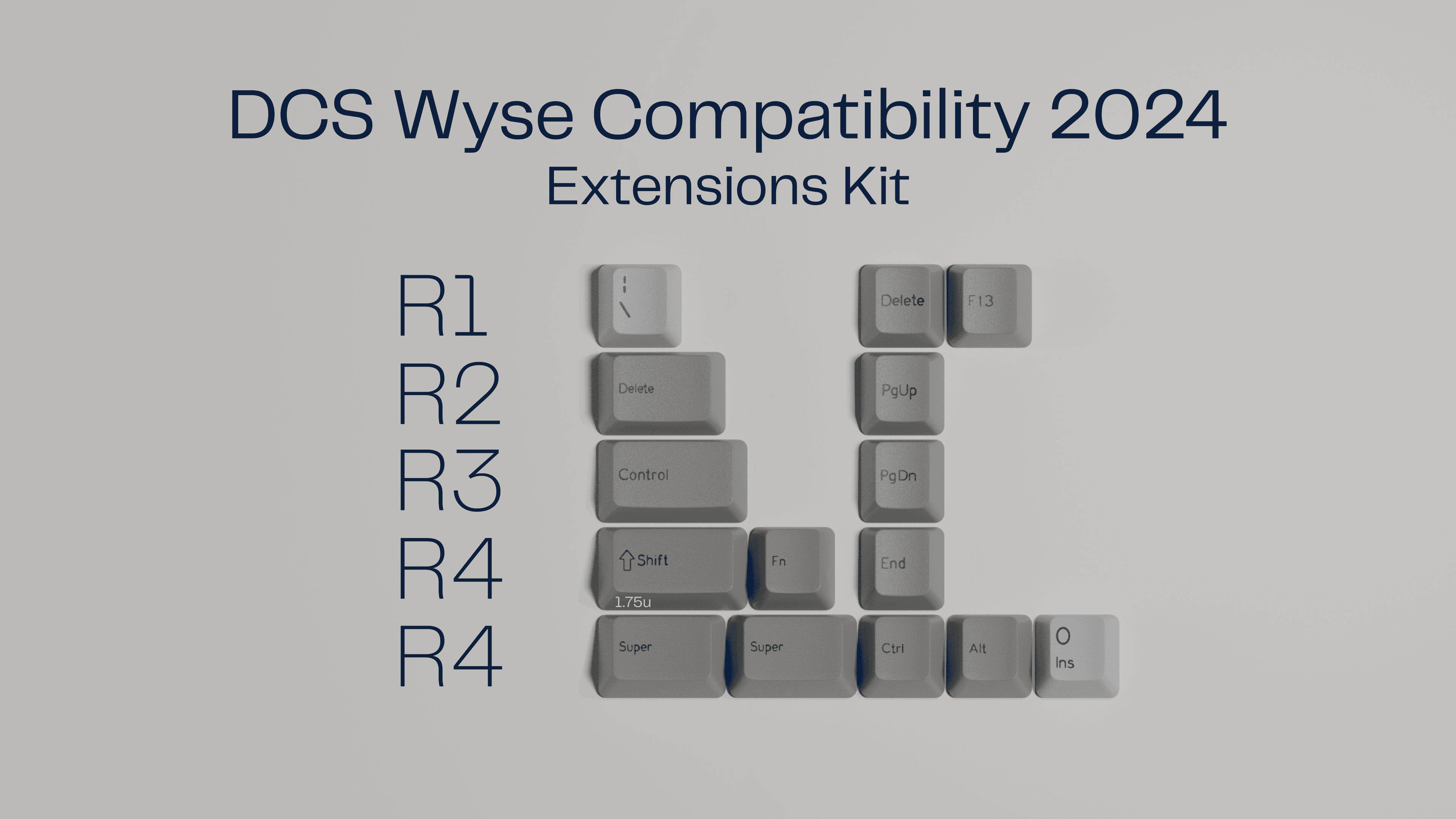 DCS Wyse Compatibility 2024 - ON HOLD image 3