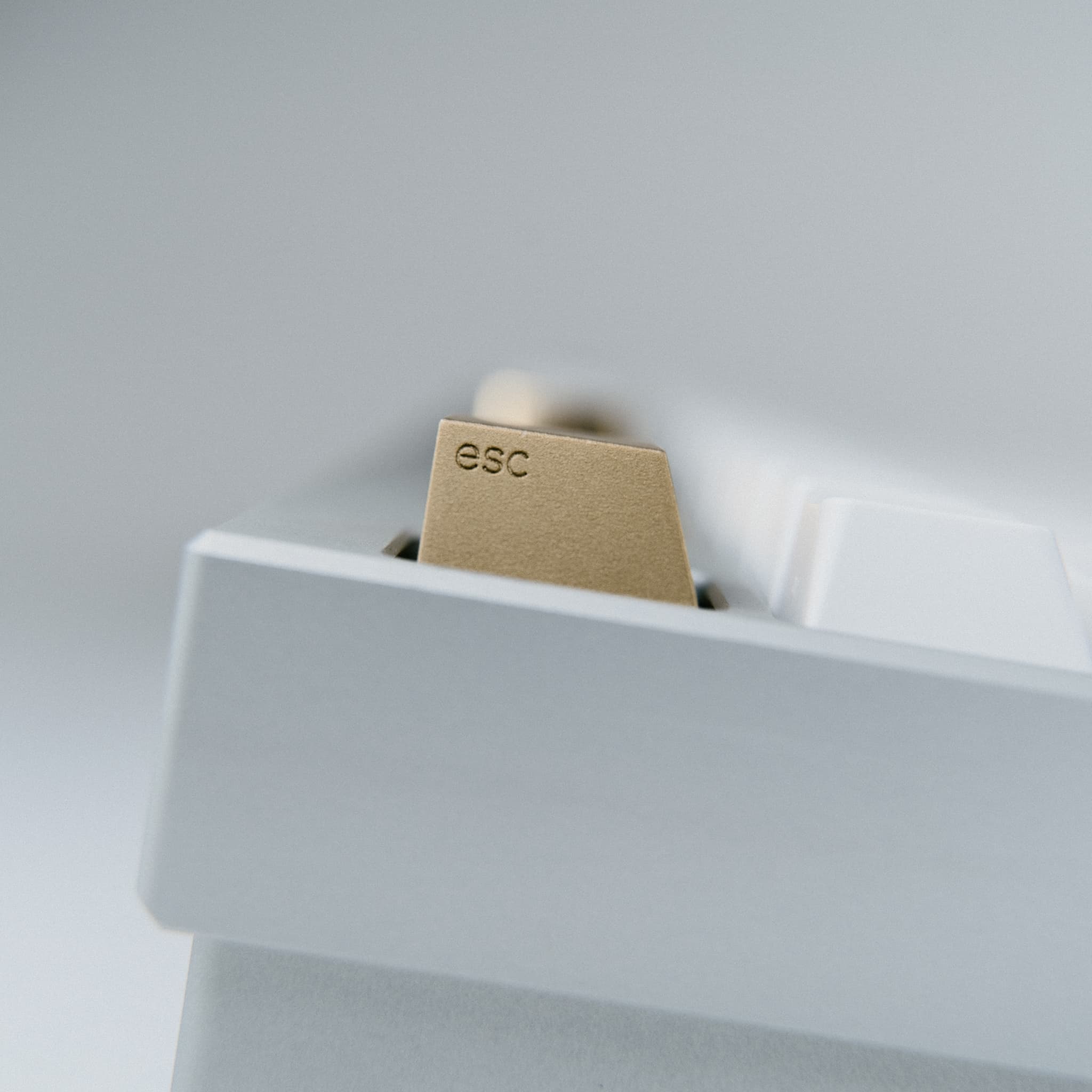 Series 00 | 09/17/2021: Shipping to all 4 vendors! image 11