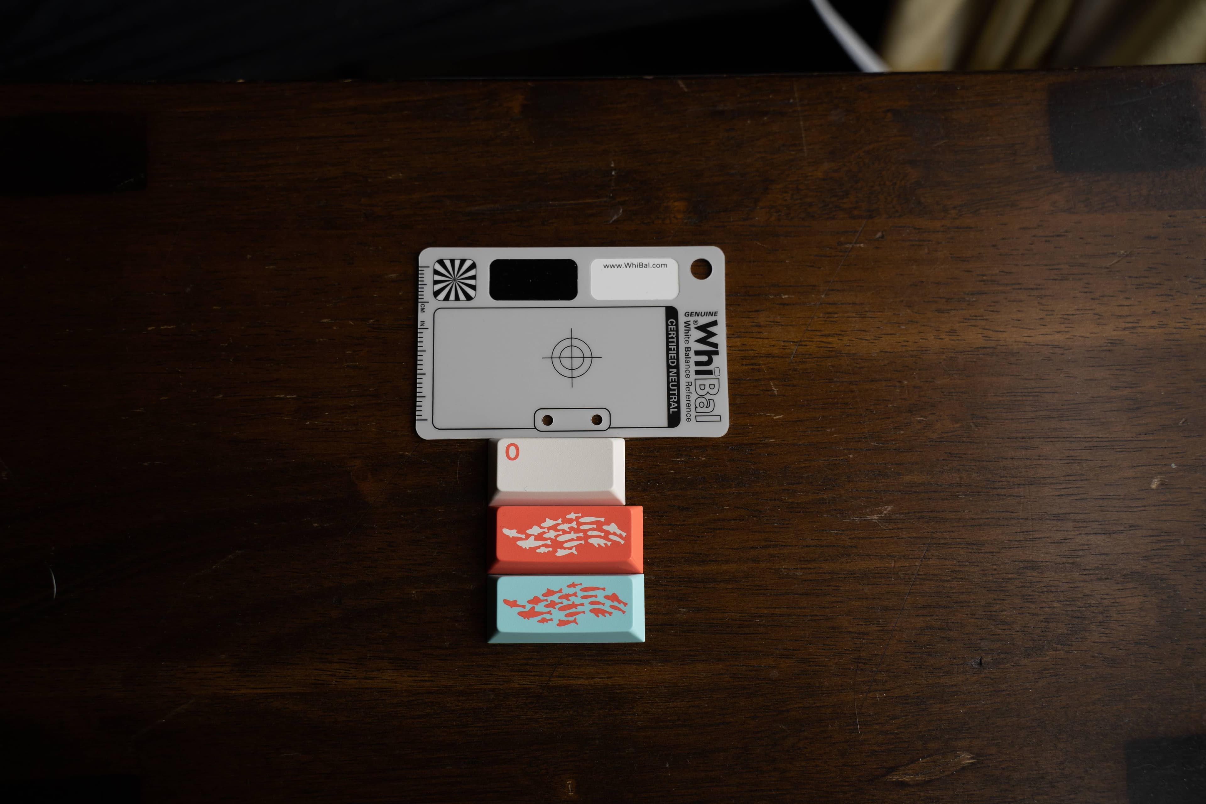 GMK Coral R2 - benefiting the Coral Reef Alliance (GB: 6/22 - 7/15) image 2