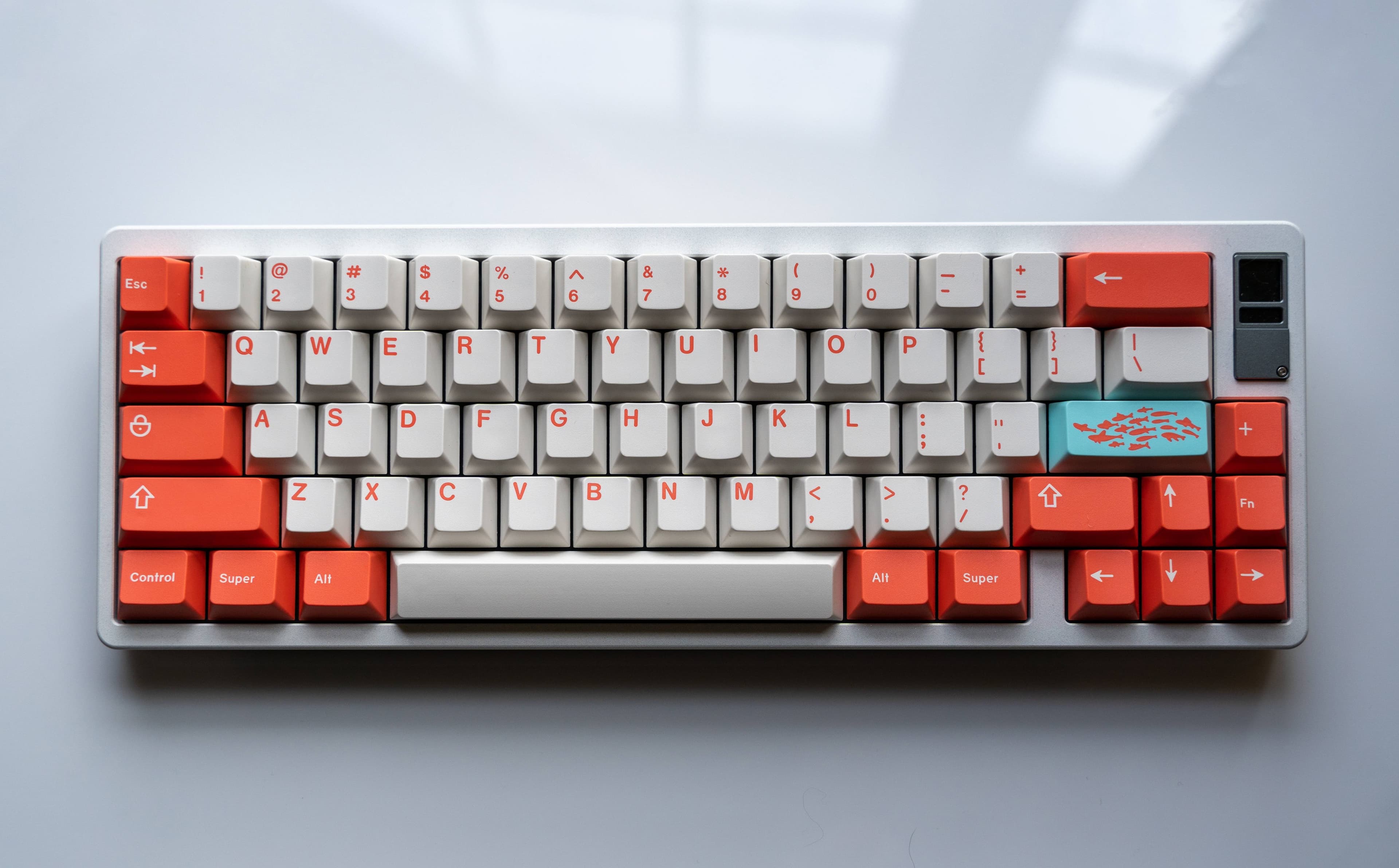 GMK Coral R2 - benefiting the Coral Reef Alliance (GB: 6/22 - 7/15) image 34