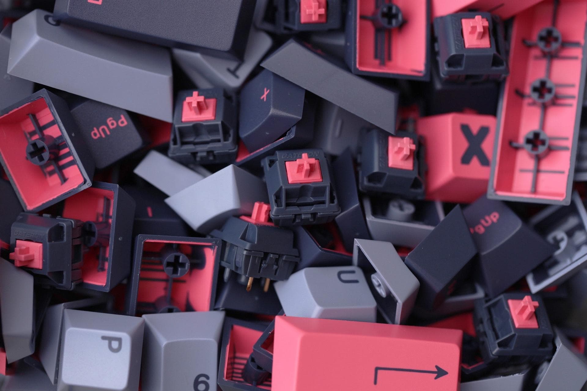 8008 Inks Preorder Live! | Sept 6-20