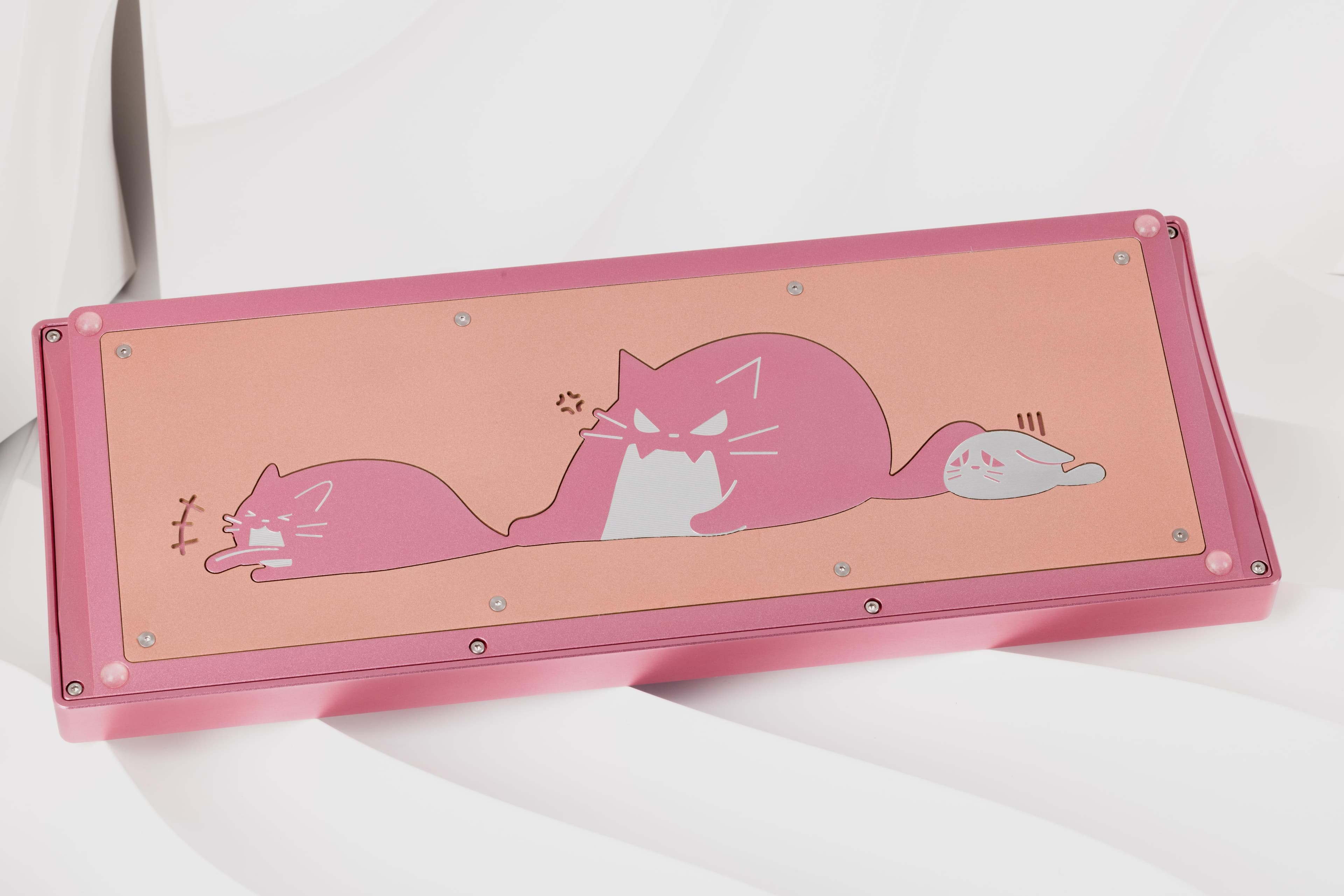 CatX( - F13 TKL with a kitty twist image 8