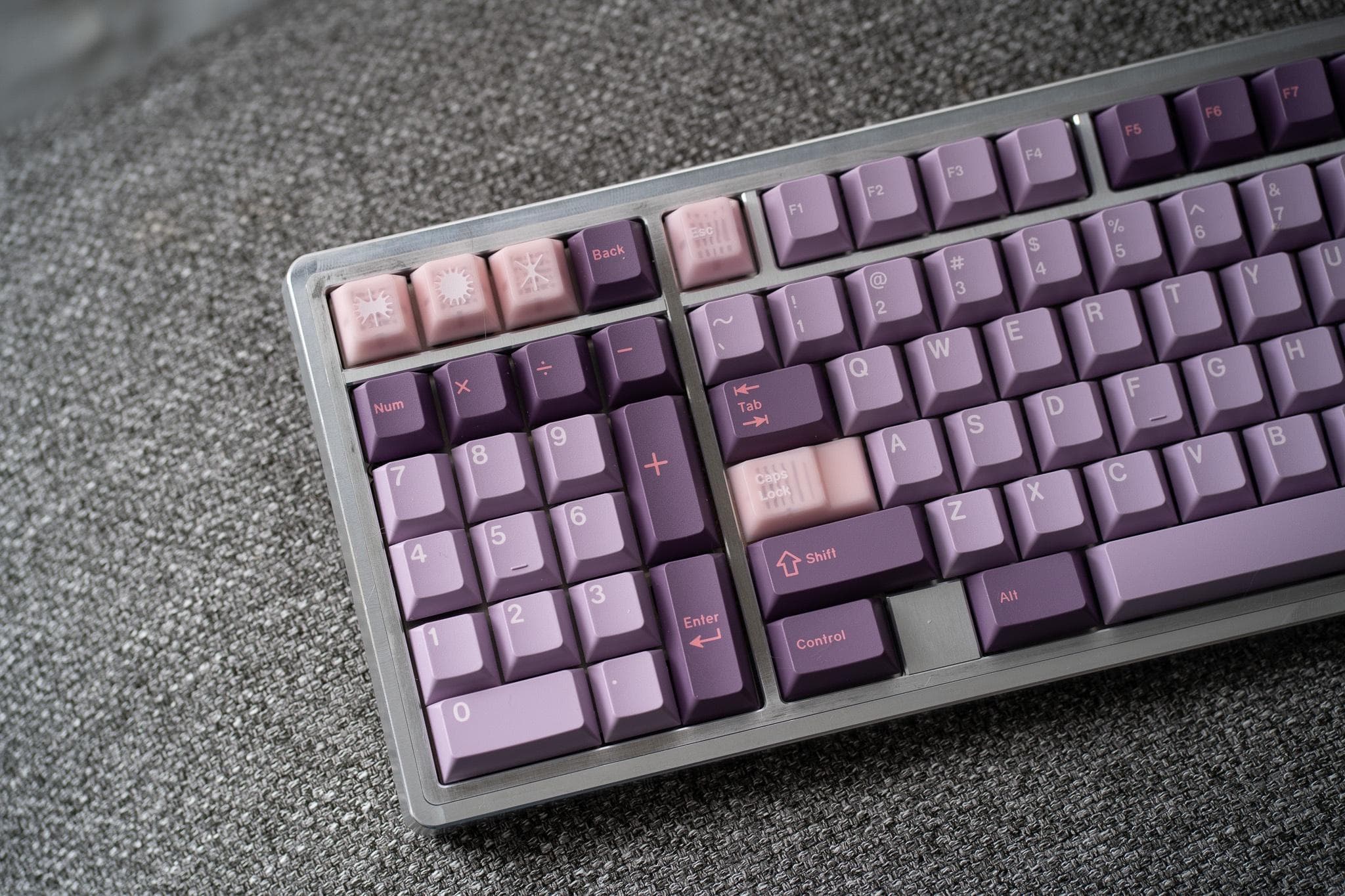 Pangea Full Size image 13