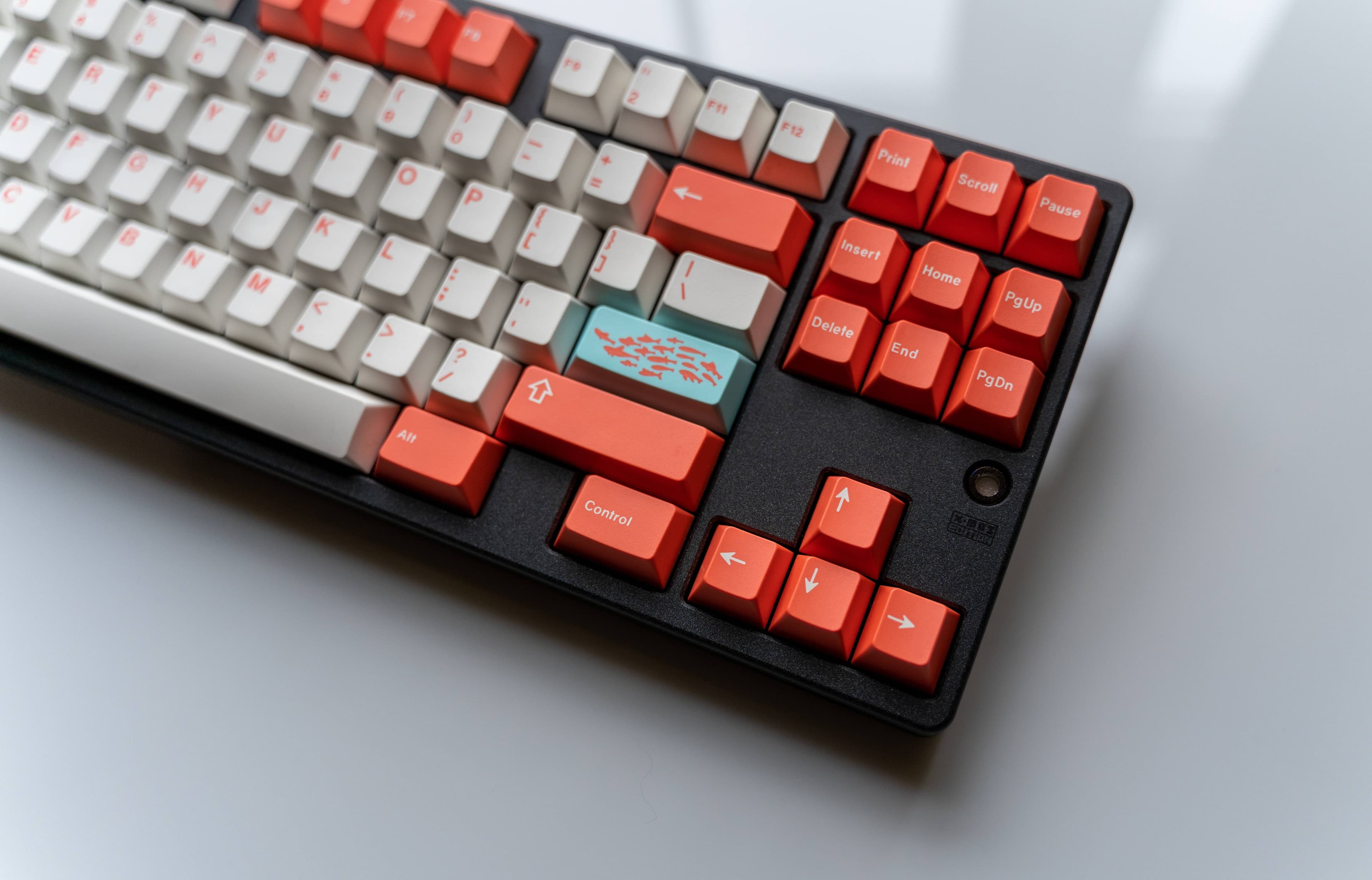 GMK Coral R2 - benefiting the Coral Reef Alliance (GB: 6/22 - 7/15) image 24