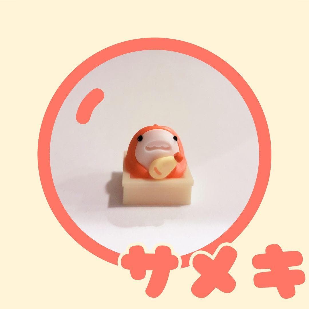 DSA Mayora マヨラー | GB LIVE NOW image 63