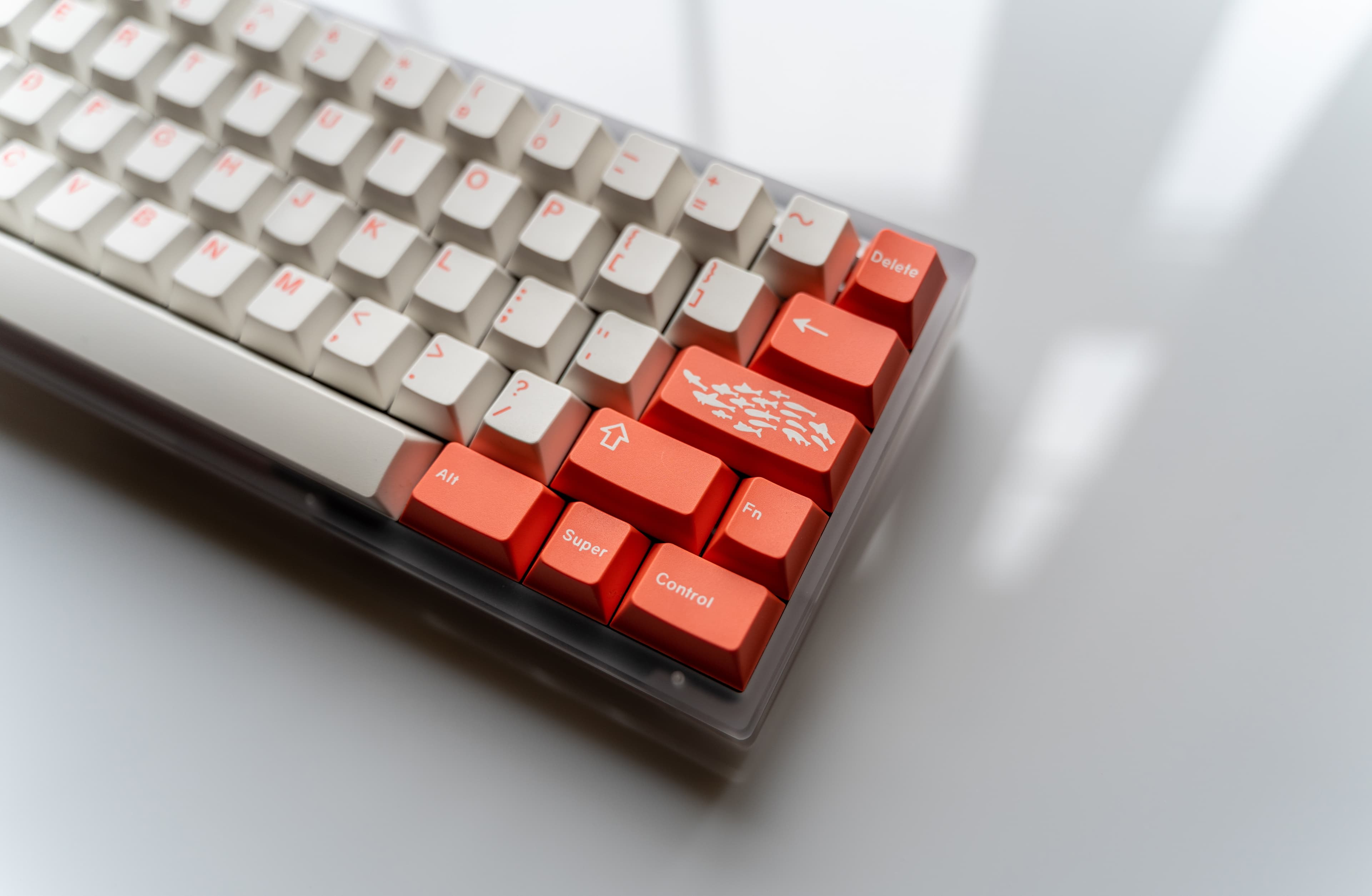 GMK Coral R2 - benefiting the Coral Reef Alliance (GB: 6/22 - 7/15) image 19