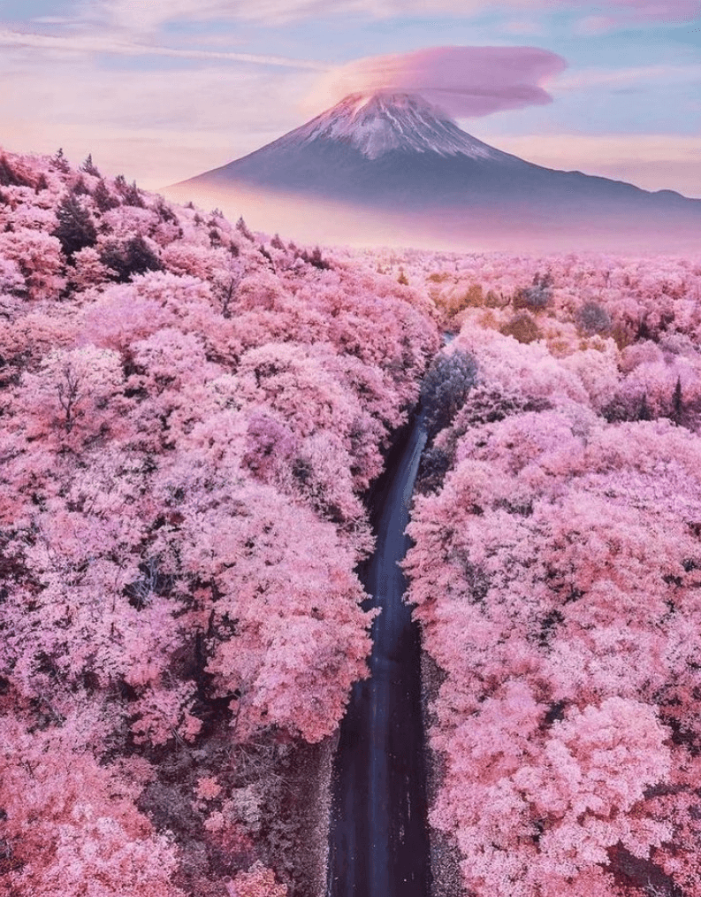 GMK Fuji | March 15th - April 15th image 26