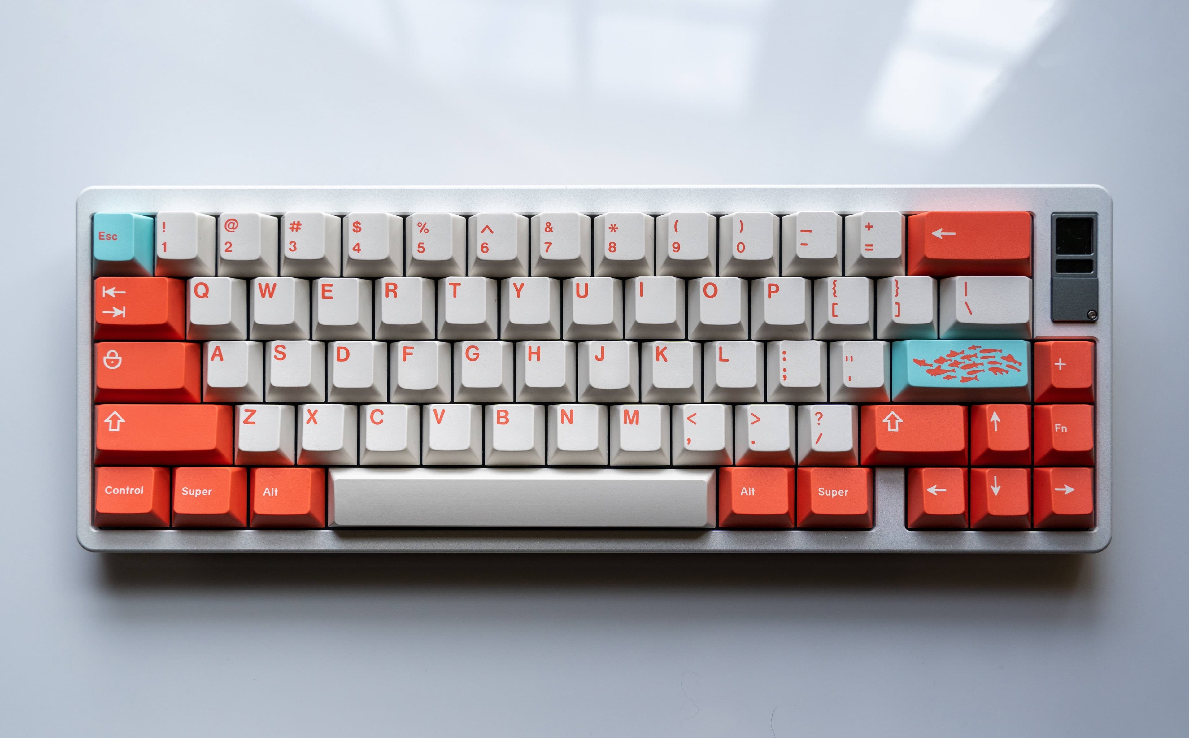 GMK Coral R2 - benefiting the Coral Reef Alliance (GB: 6/22 - 7/15)