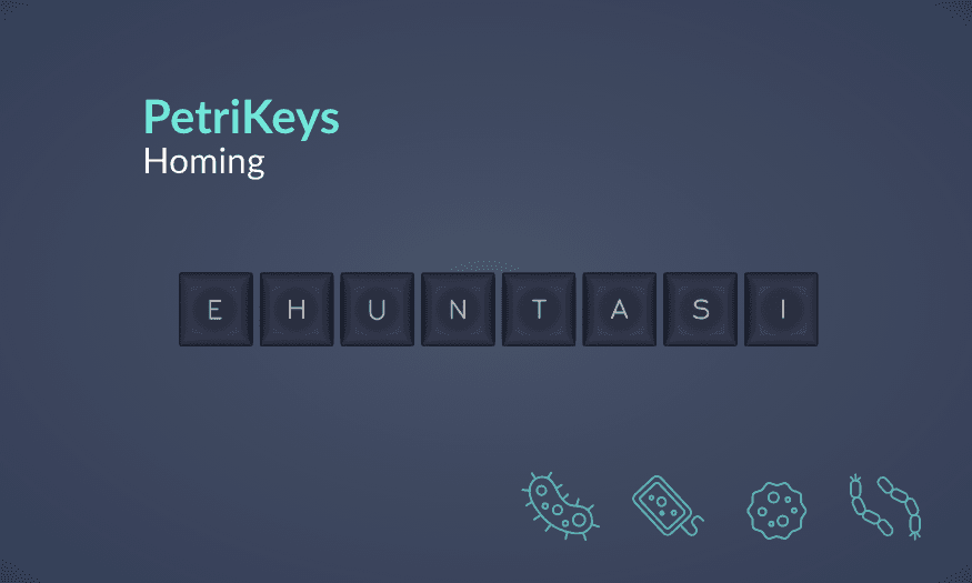 DSA PetriKeys 🔬✨ | April 15, 2022 - May 15, 2022 | GB End Update image 12
