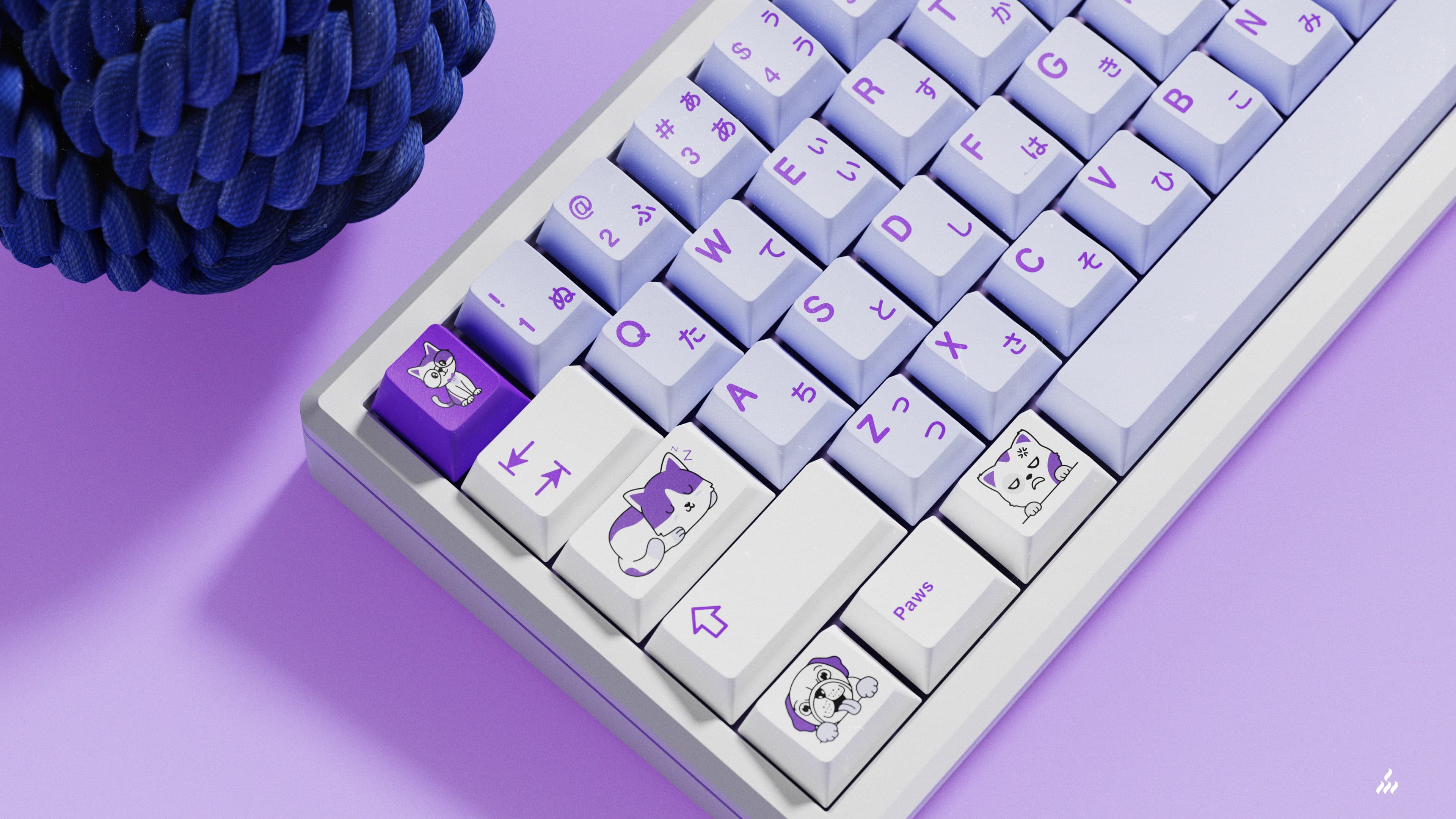 MW Paws | Sept 2nd - Oct 3rd image 22