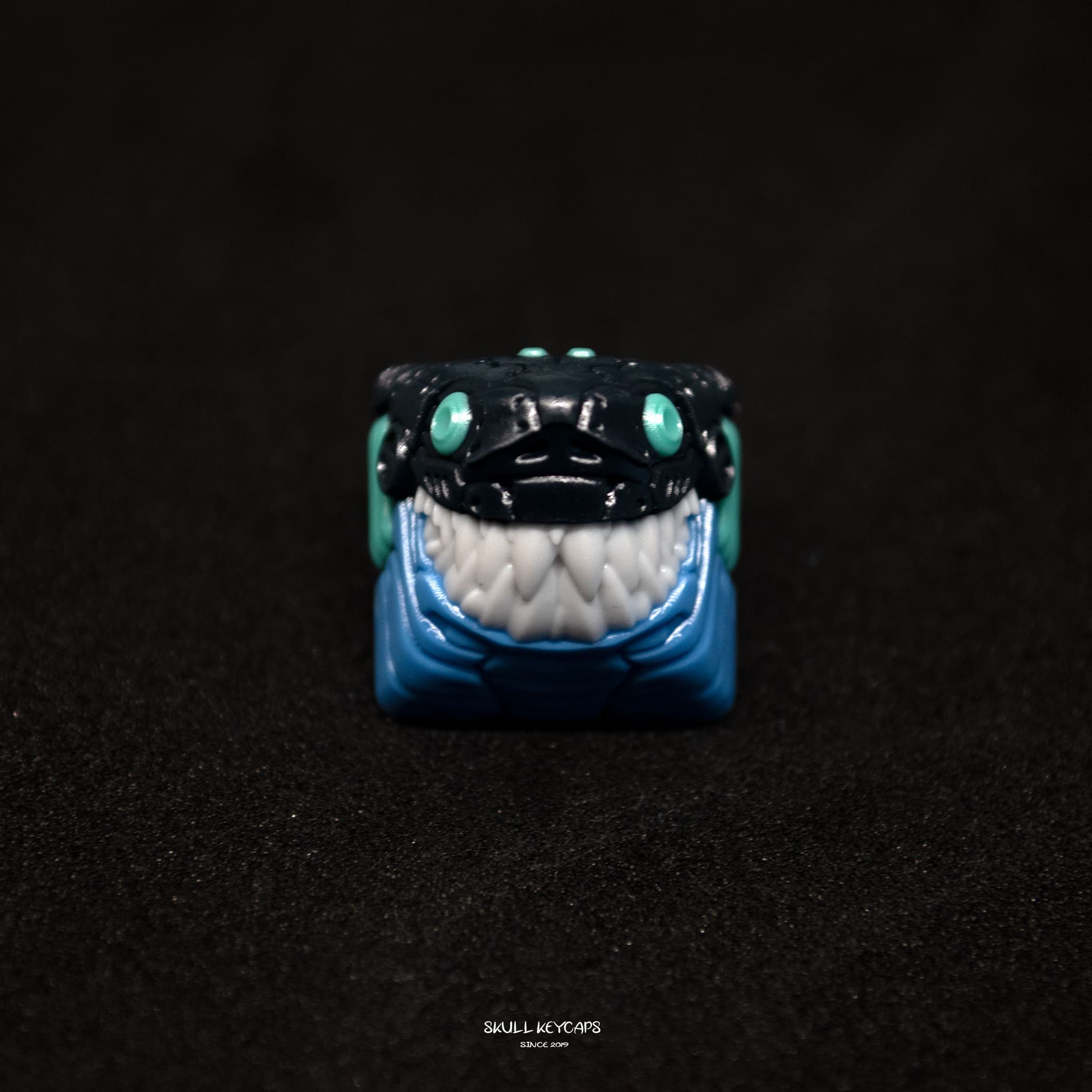 PBTfans Basin | Delivered! image 66