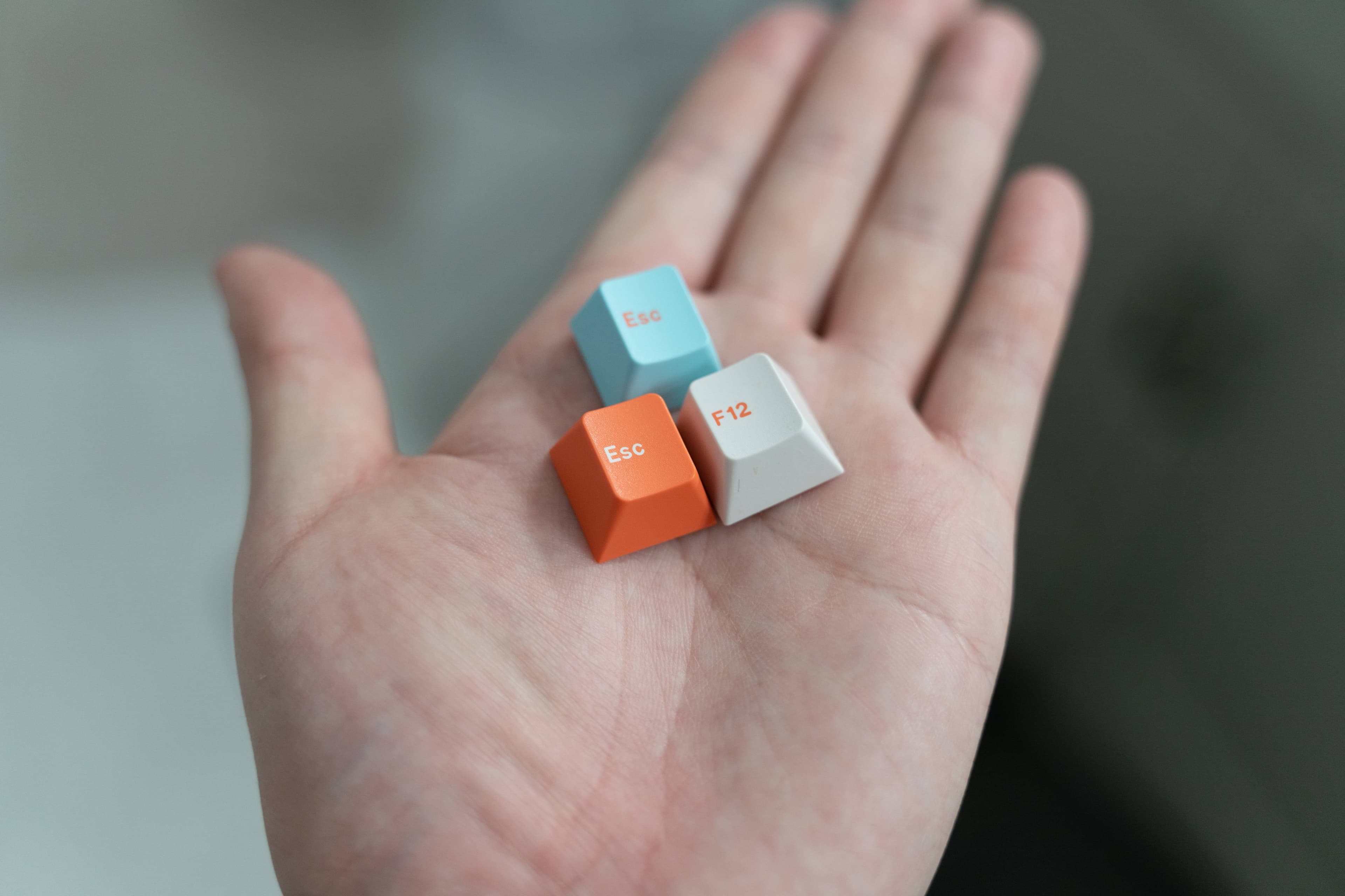 GMK Coral R2 - benefiting the Coral Reef Alliance (GB: 6/22 - 7/15) image 4