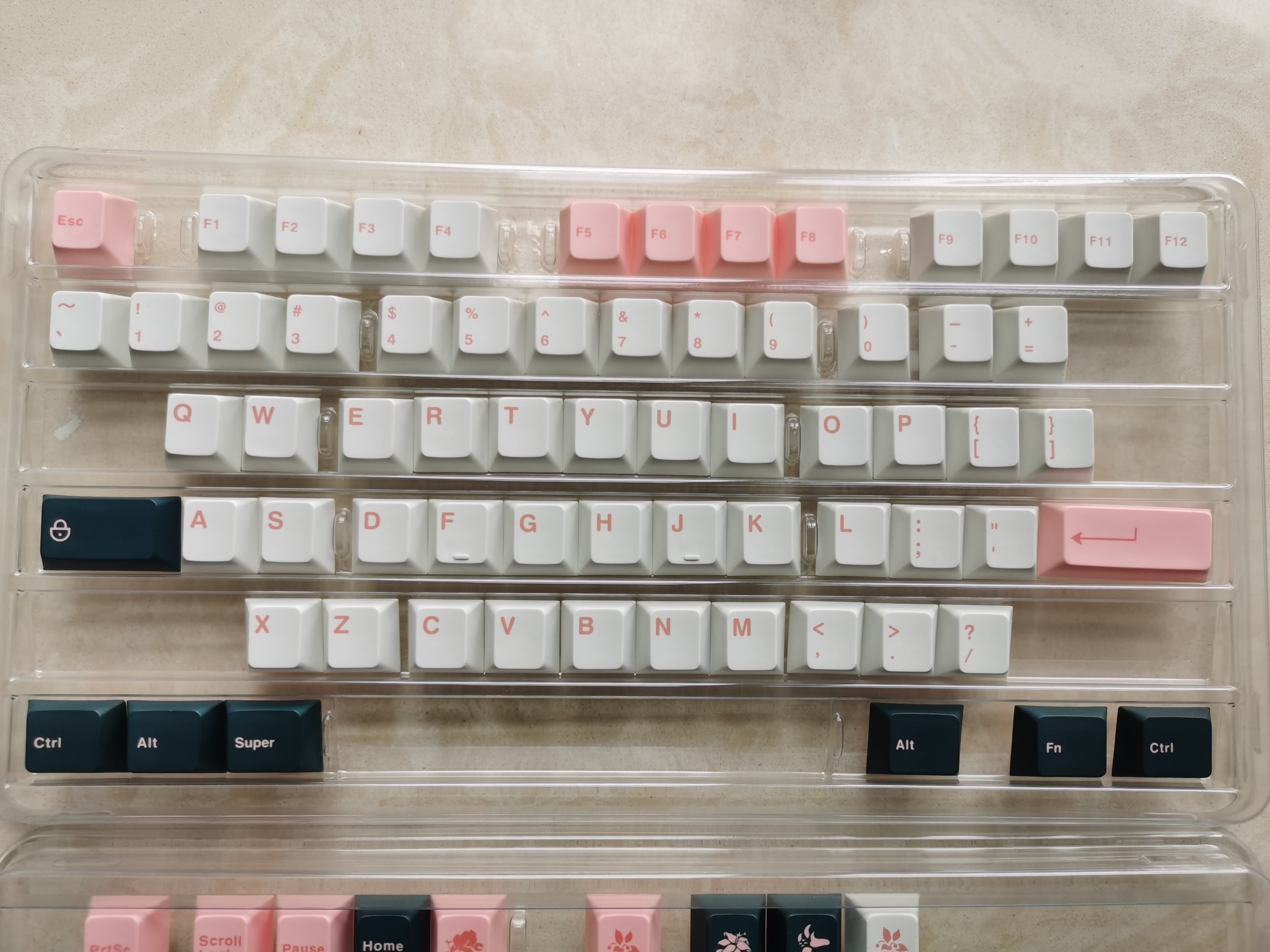 [Pre-order] ePBT Flower | Last Week image 31