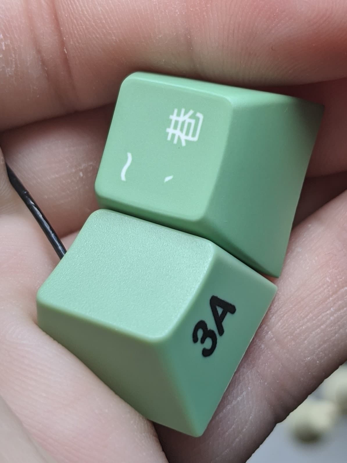 KAT Lucky Jade | (Ended) UPDATE: COLOR SAMPLES IN! image 54