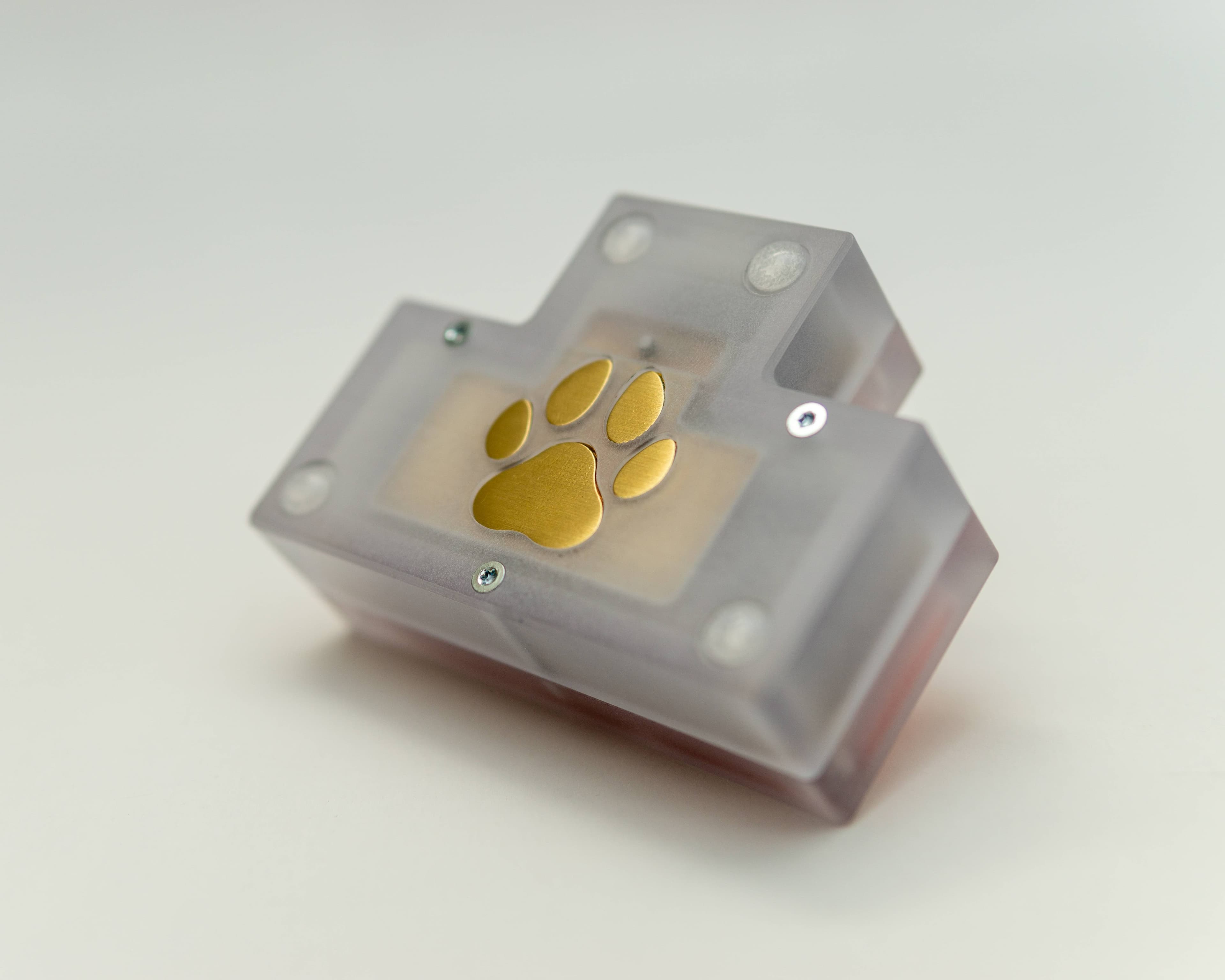 Paw - Bluetooth Arrow Cluster Macropad - GB Closed!