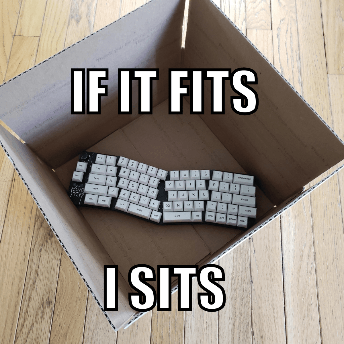 Orange Boy Ergo - Budget Alice-like DIY Kit