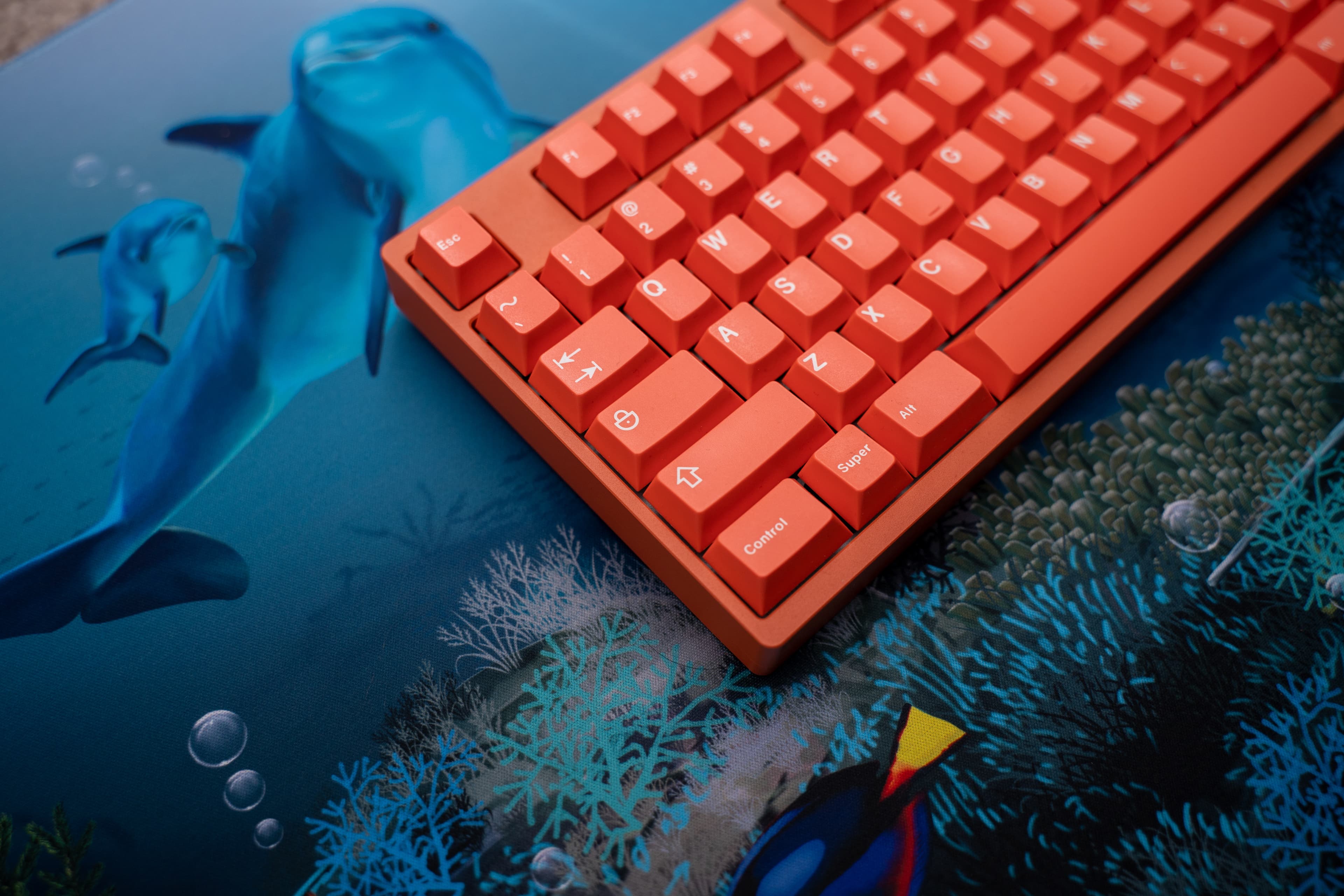 GMK Coral R2 - benefiting the Coral Reef Alliance (GB: 6/22 - 7/15) image 42